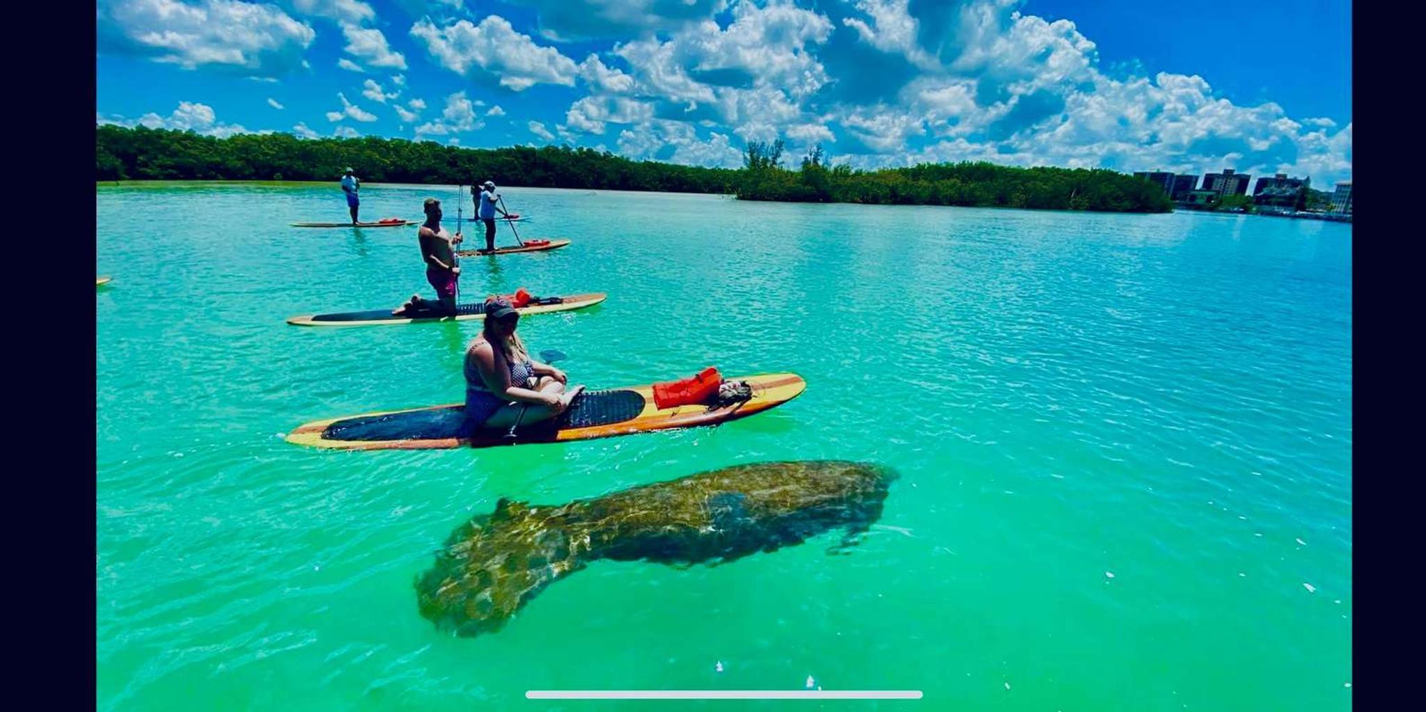 Marco Island Standup Paddleboard or Kayak Tour