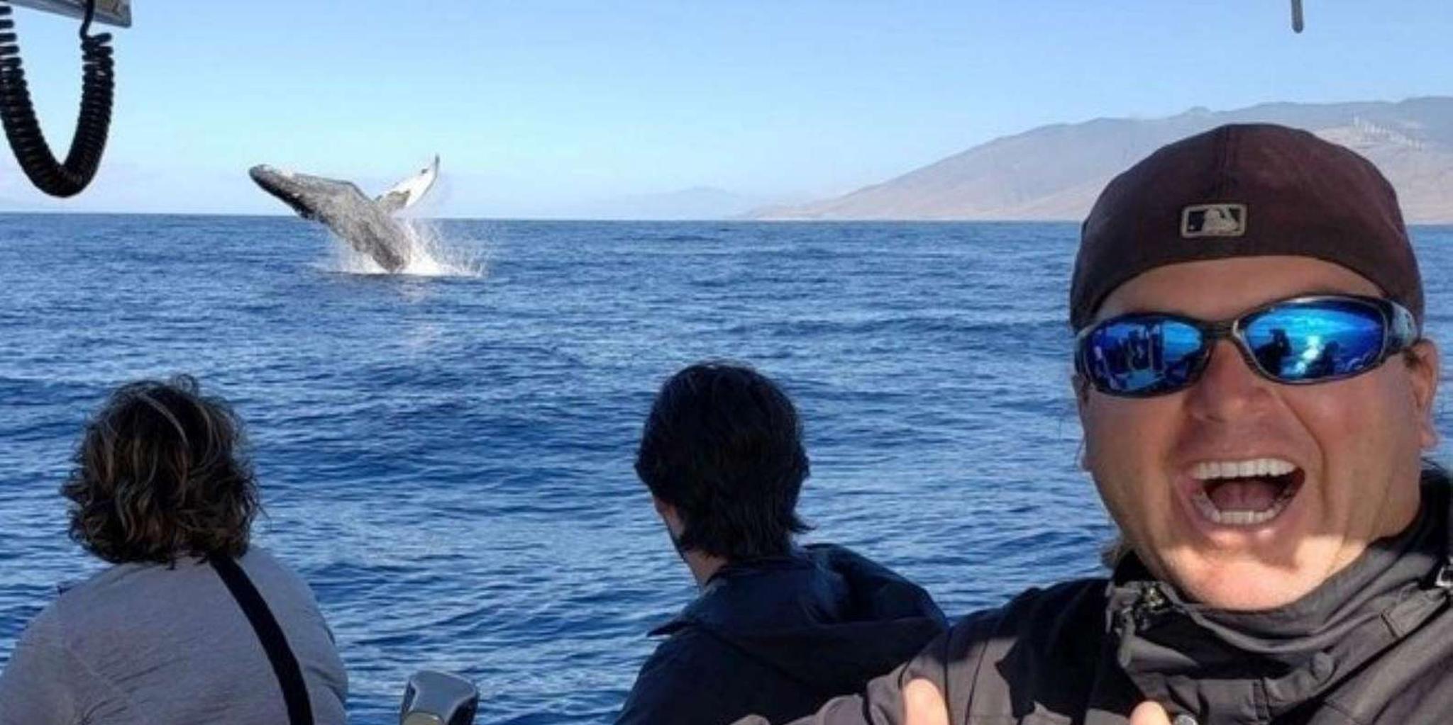 Maui Whale Watching Tour 1.5 Hours - Image 3