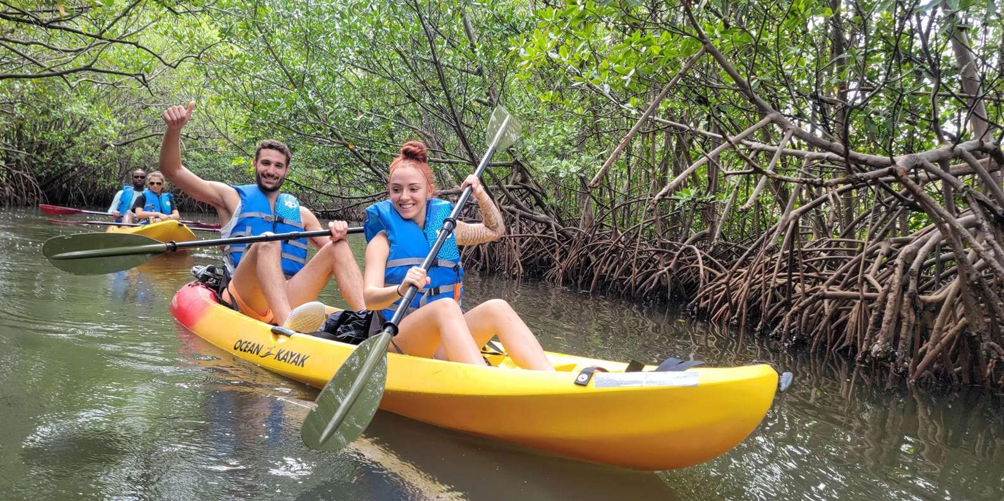 Miami Biscayne Bay Kayak and Boat Tour - Image 4