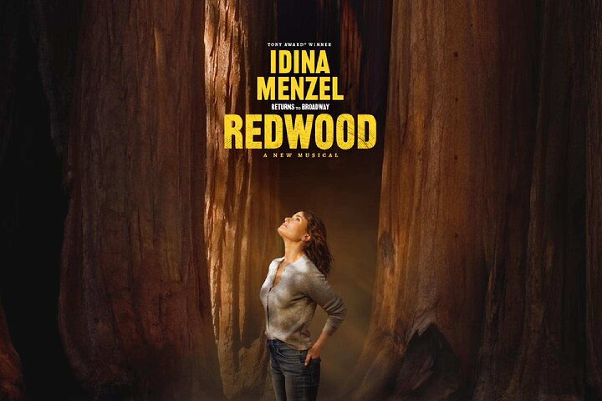 New York City Redwood Broadway Show - Image 6