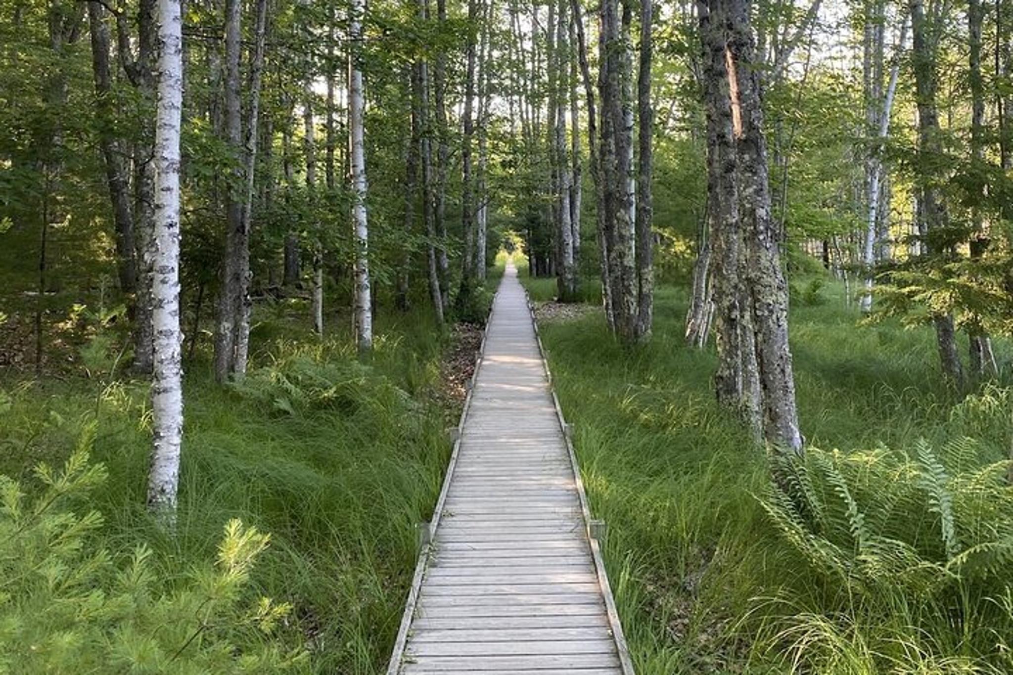 Acadia Private Tour with Local Guide 3 hr - Image 4