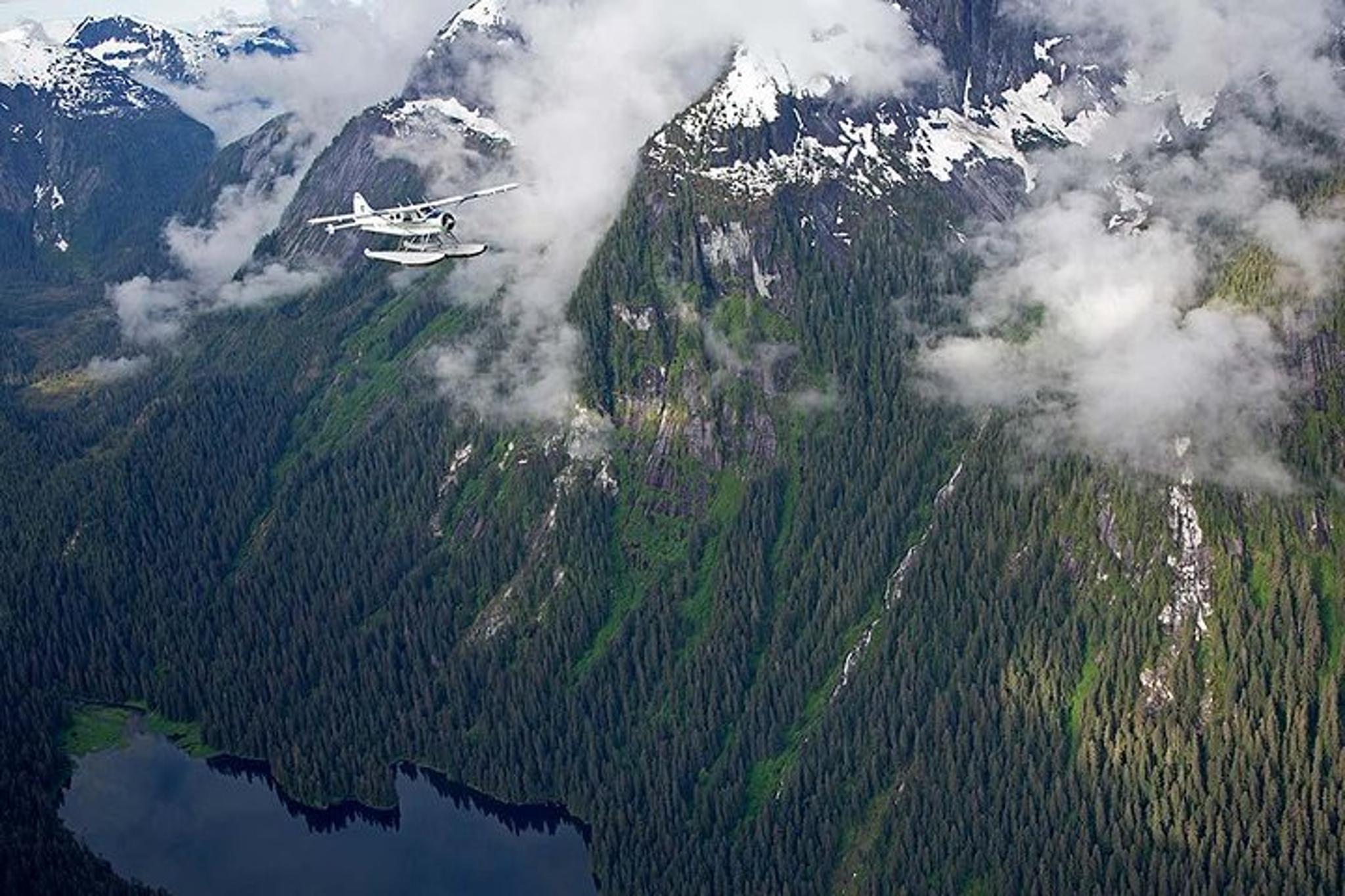 Ketchikan Misty Fjords Flightseeing 1 hr - Image 5