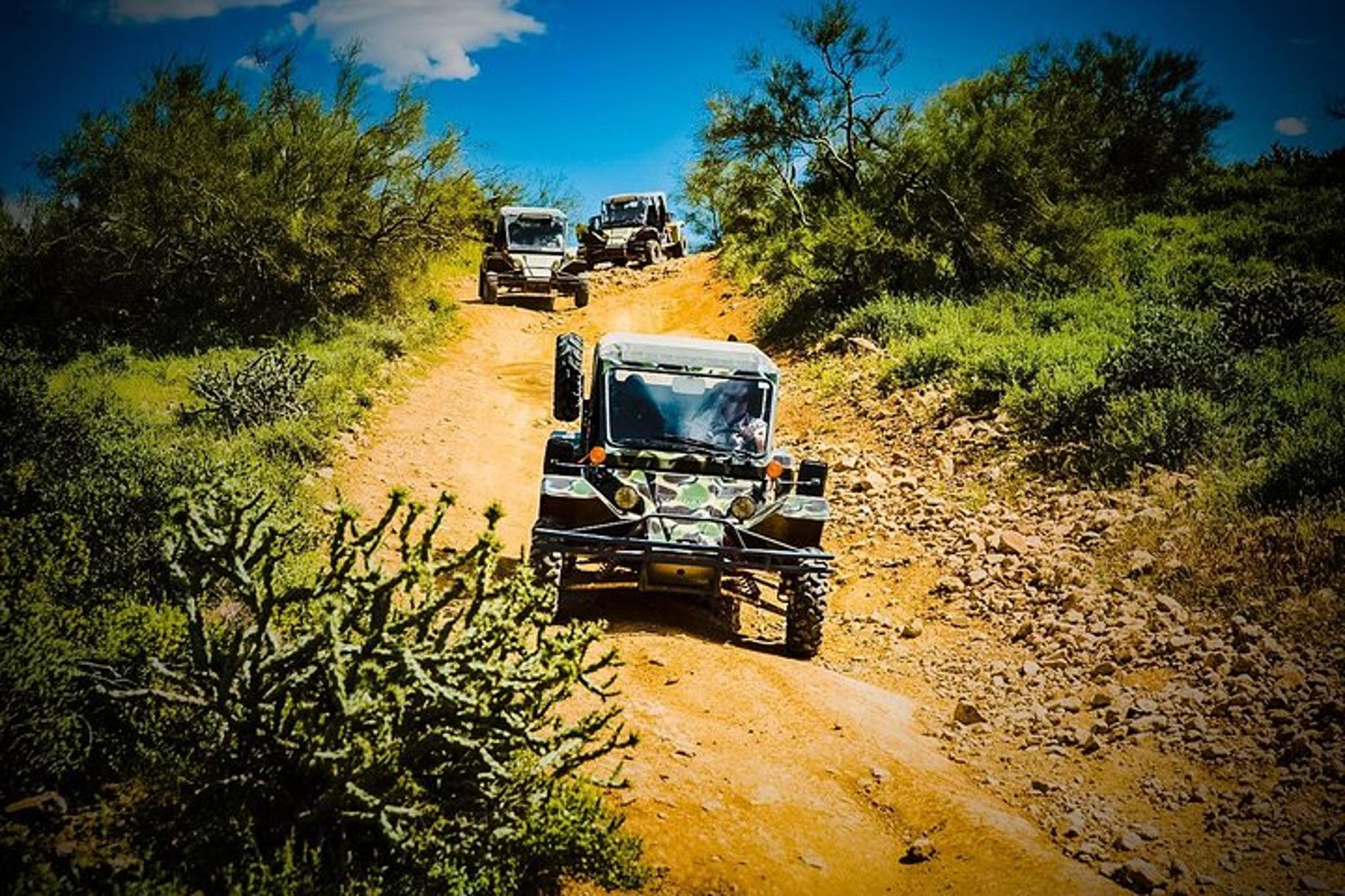 Phoenix TomCar ATV Experience in Sonoran Desert 3 hr - Image 1