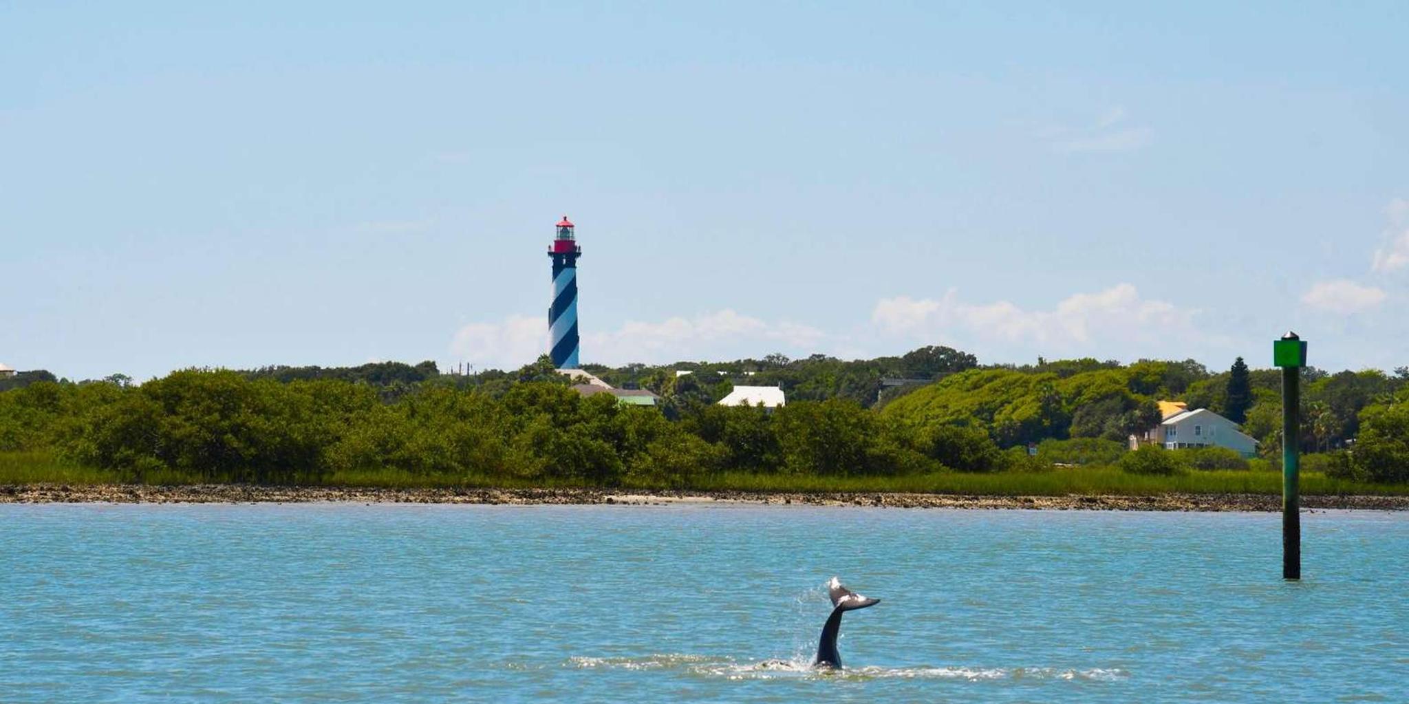 St. Augustine Dolphin Watching Harbor Tour - Image 2