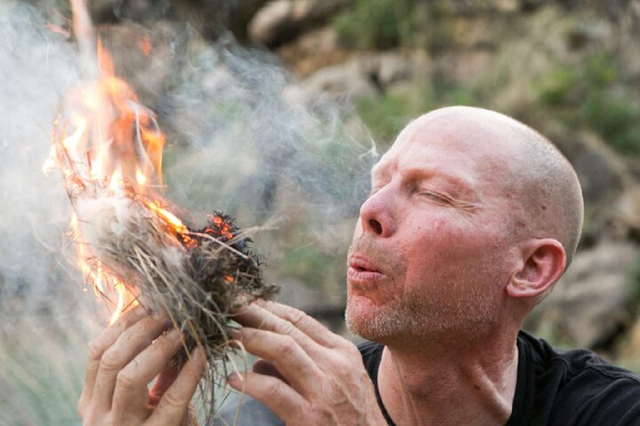Tucson Sonoran Desert Hike with Wild Foods 2 hr