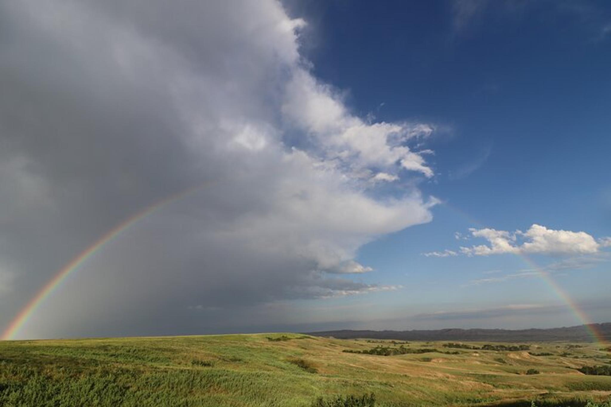 Badlands National Park Wildlife and Scenic Tour - Image 6