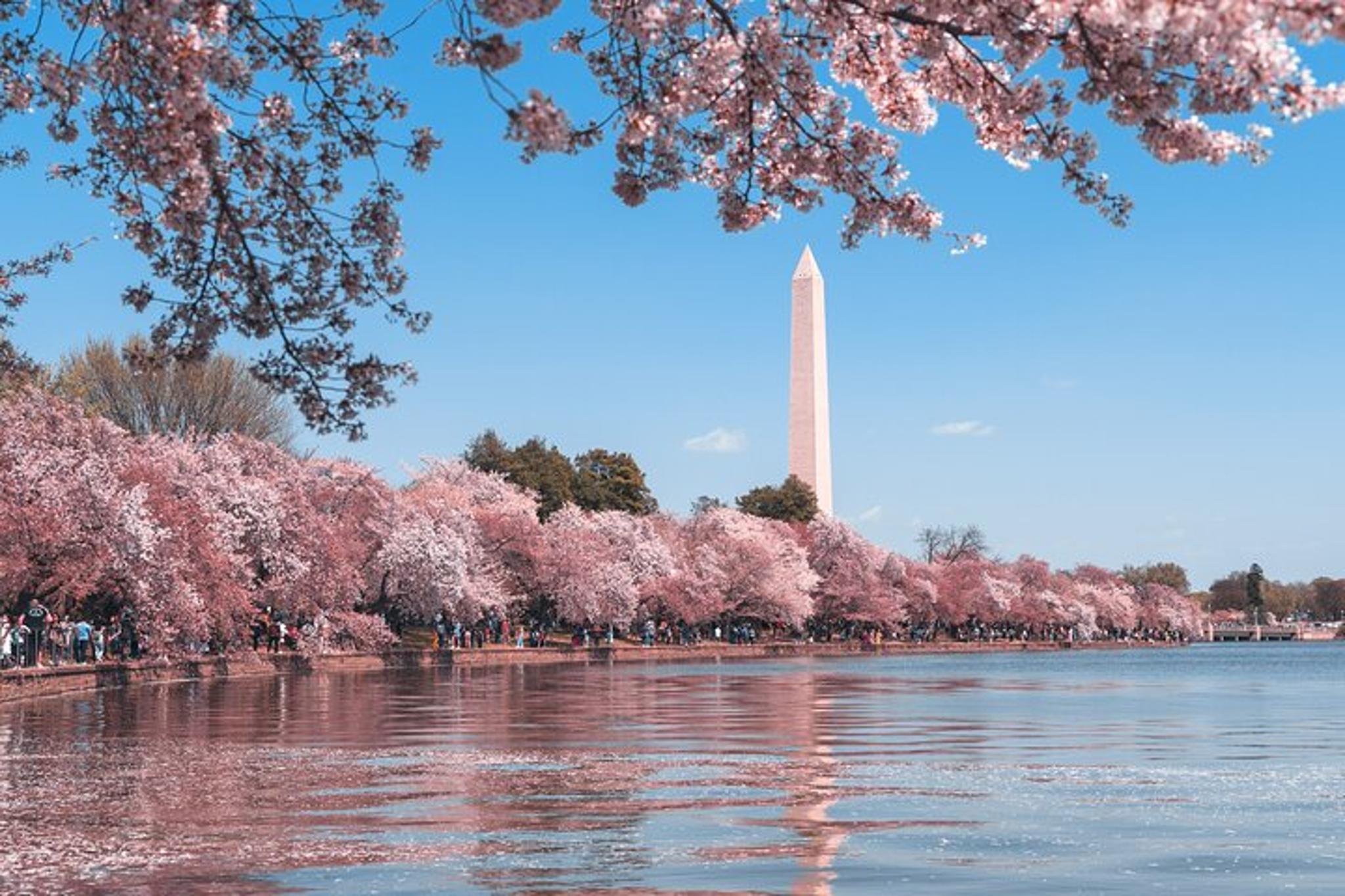 Washington DC Private Car Tour - Image 3