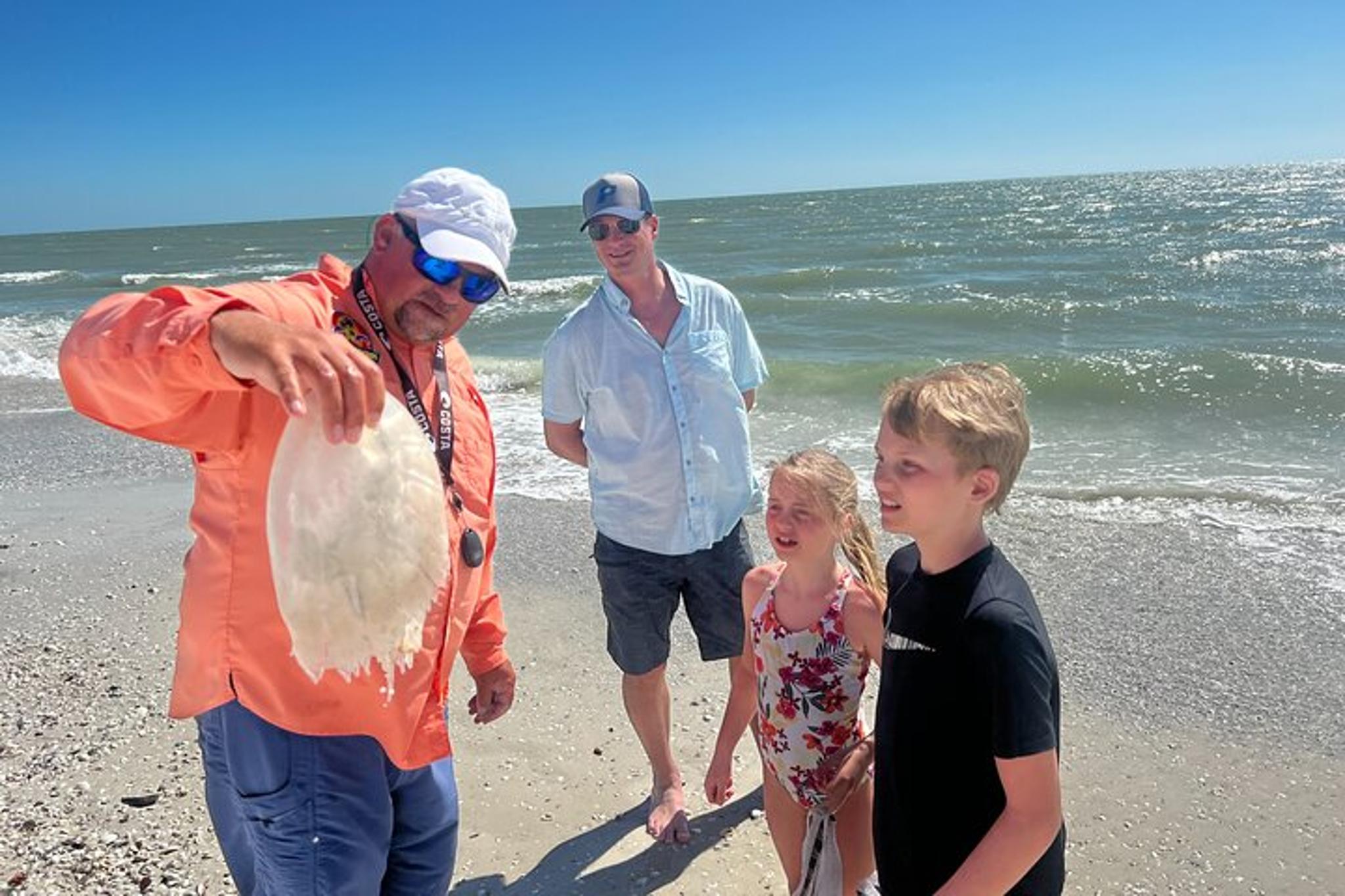 Marco Island Dolphin, Shelling, and Birding Eco Boat Tour