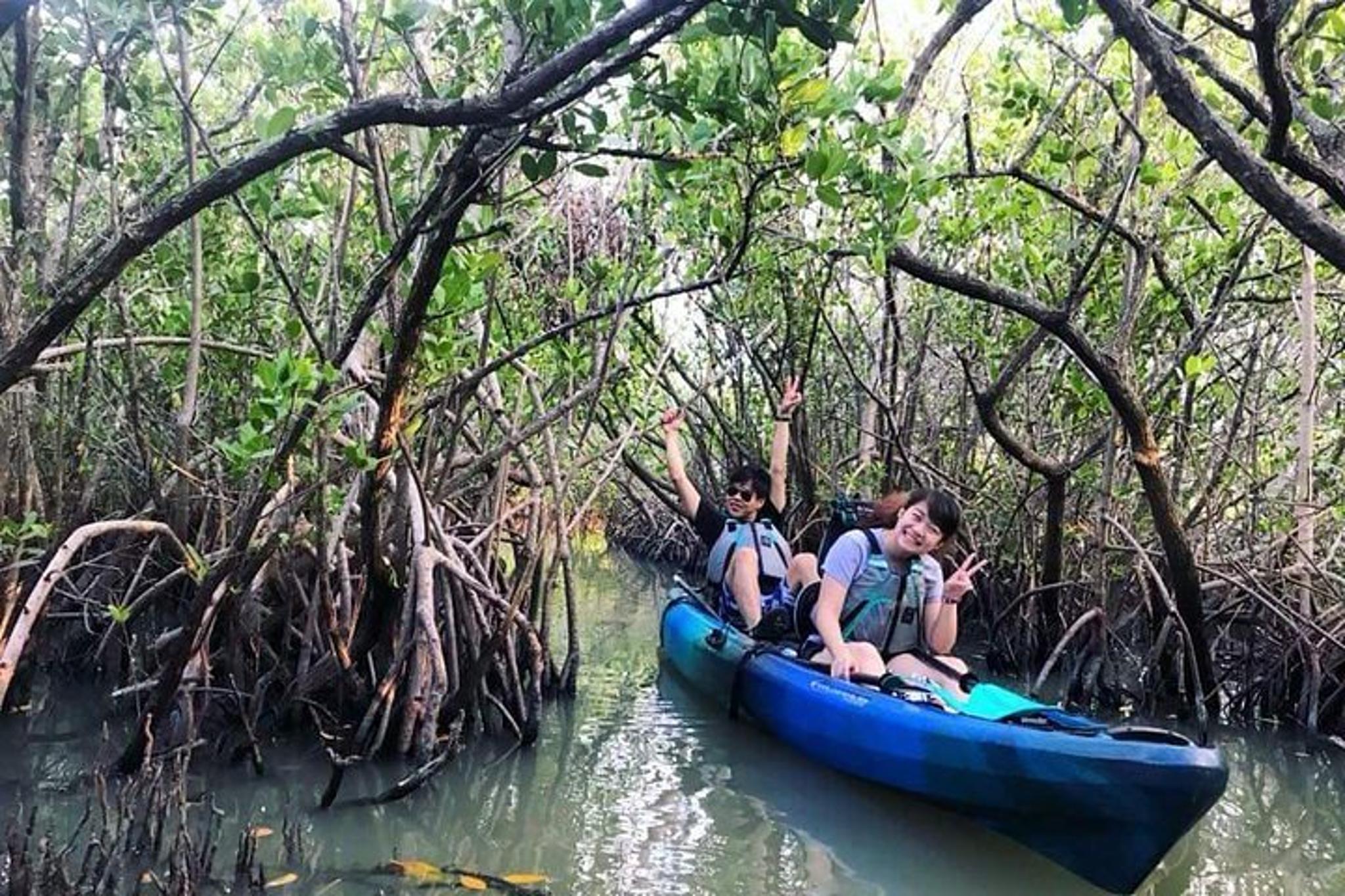 Cocoa Beach Mangrove Tunnel Kayak Tour - Image 1