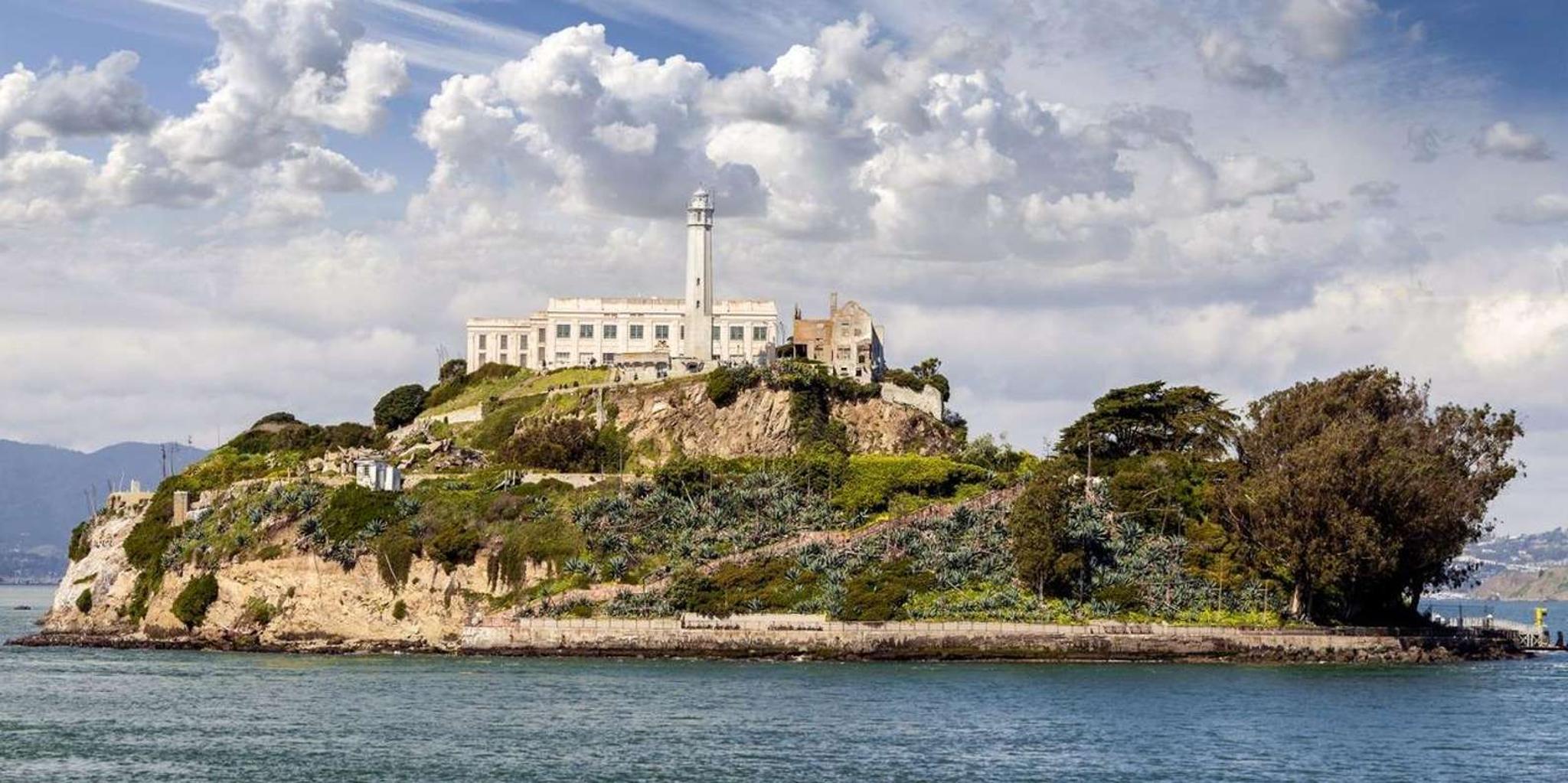 San Francisco Alcatraz Island and Muir Woods Tour