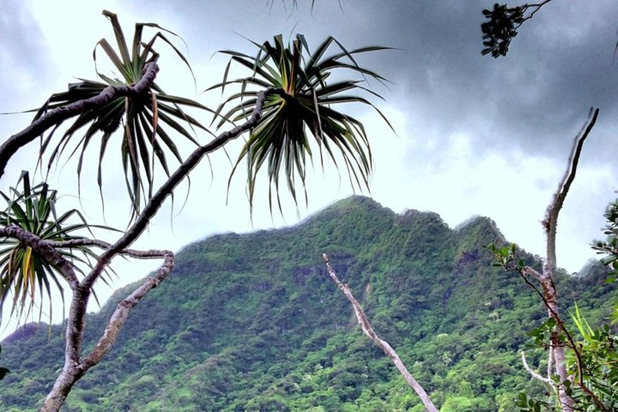Kaneohe E-Bike Tour at Kualoa Ranch 2 hr - Image 5