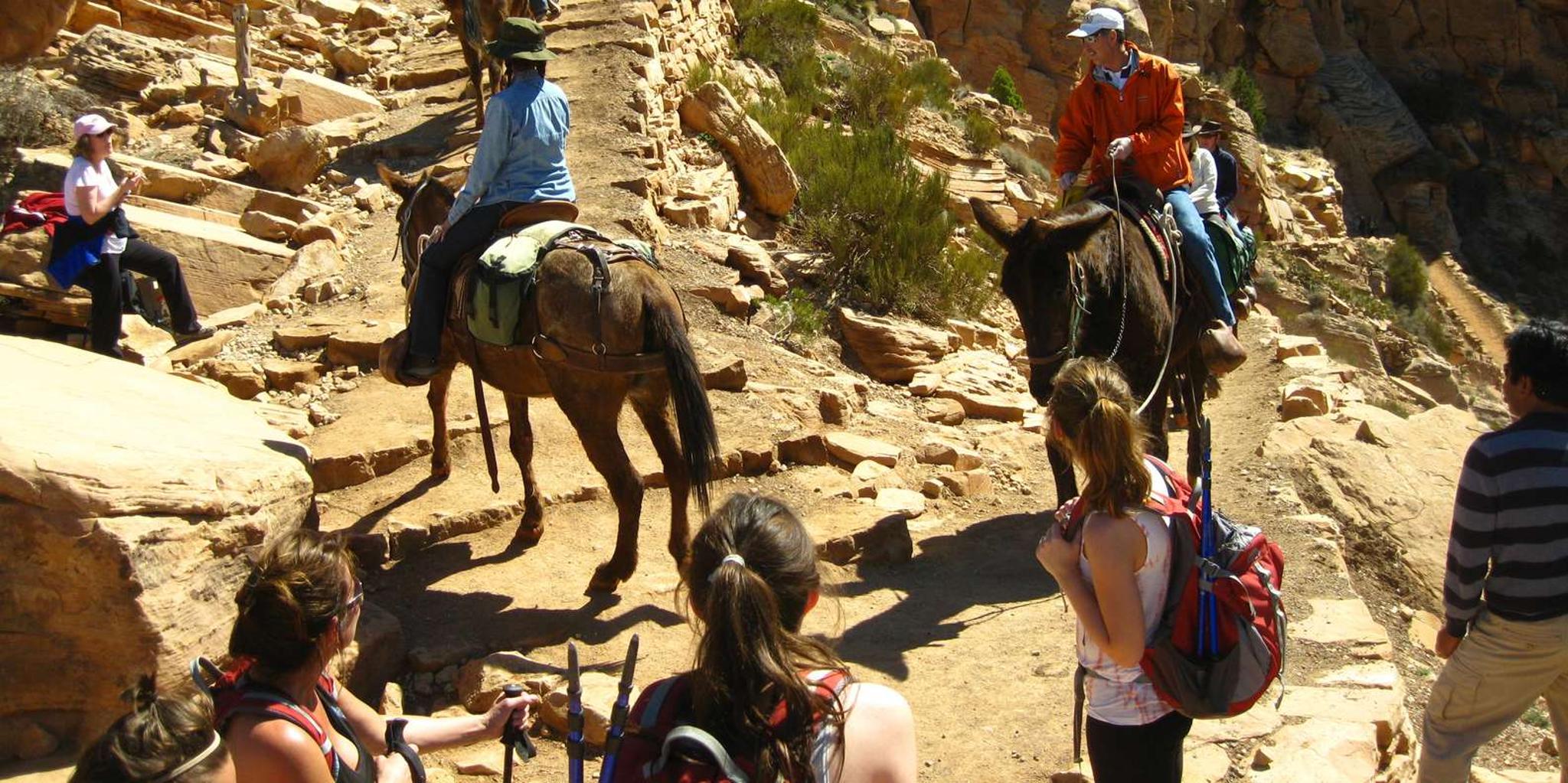 Grand Canyon Hike from Sedona or Flagstaff - Image 2