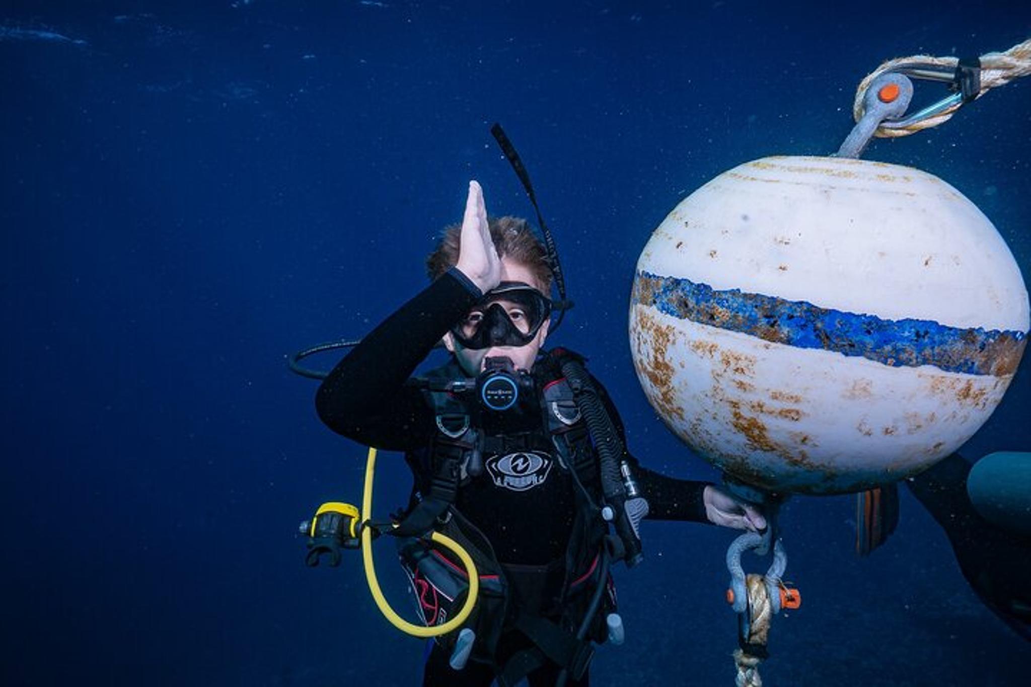 Lahaina Shark and Turtle Dive for Certified Divers - Image 2