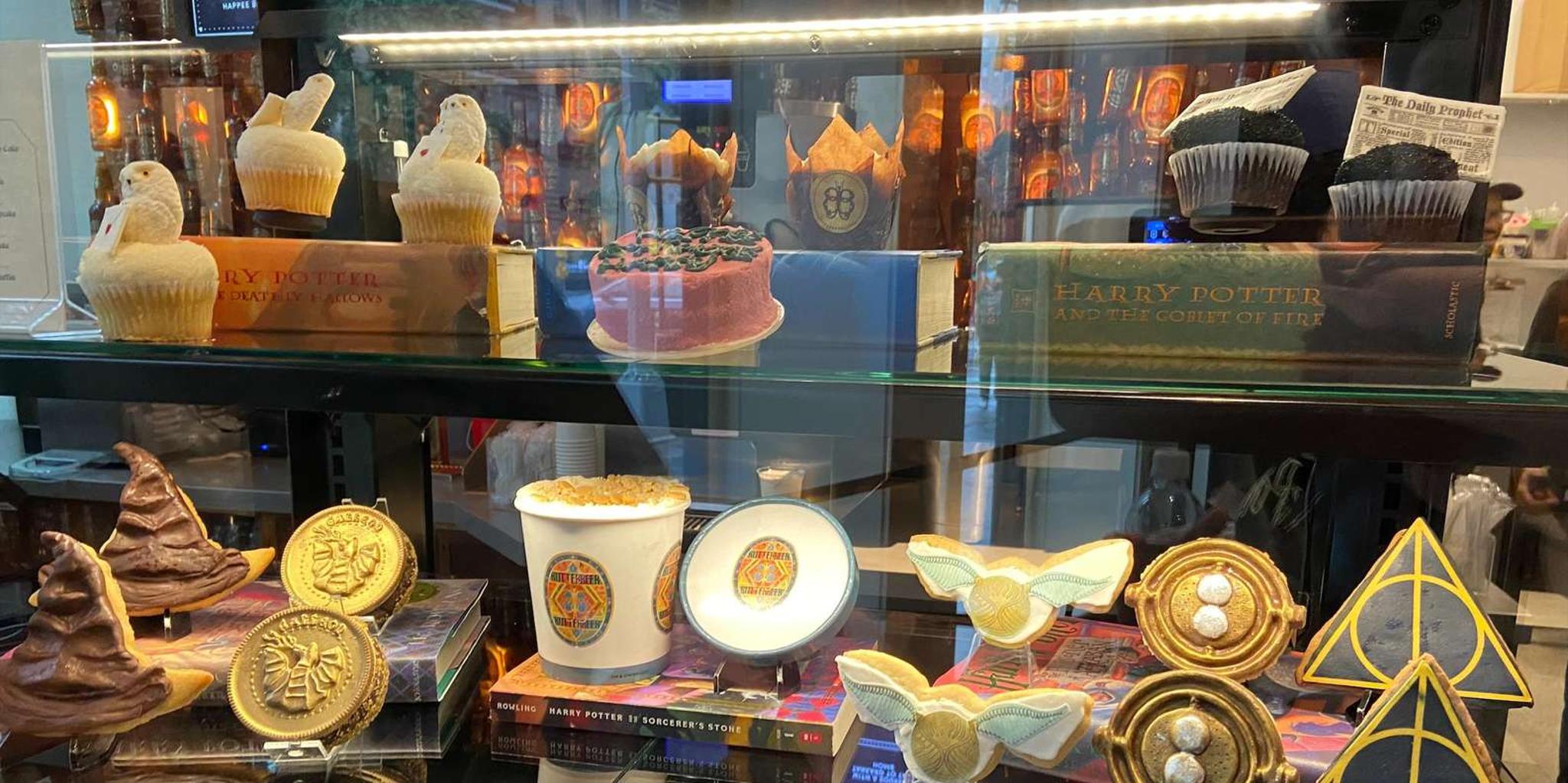 Chicago Harry Potter Shop Tour 1 hr - Image 2
