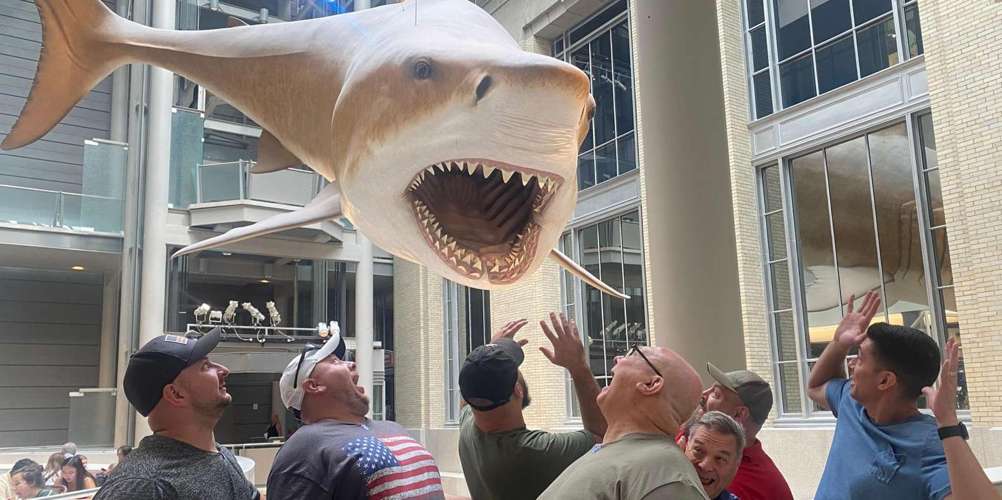 Washington DC Smithsonian Highlights Walking Tour - Image 3