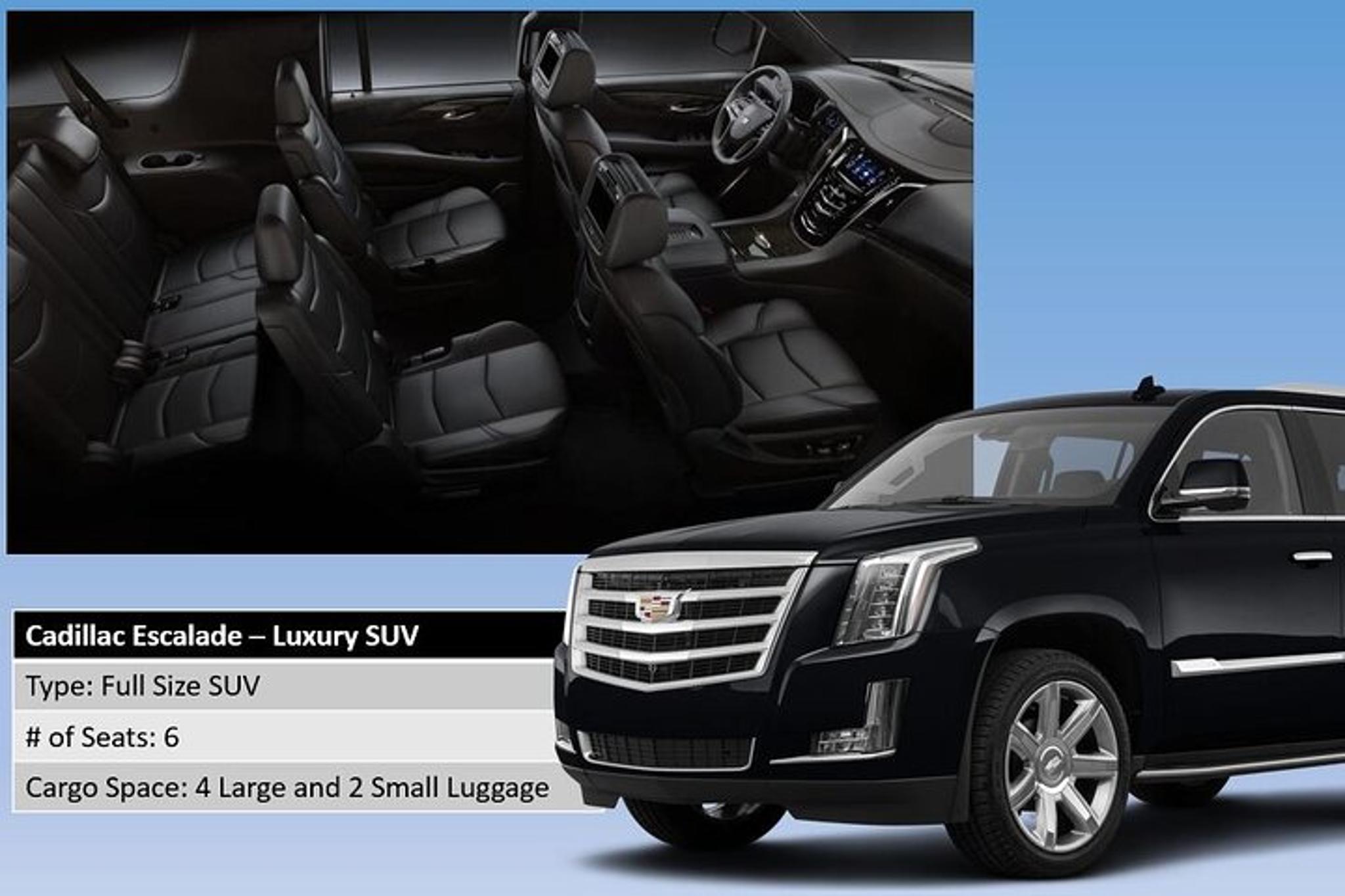 Honolulu Harbor Cruise Terminal Transfer - Image 4