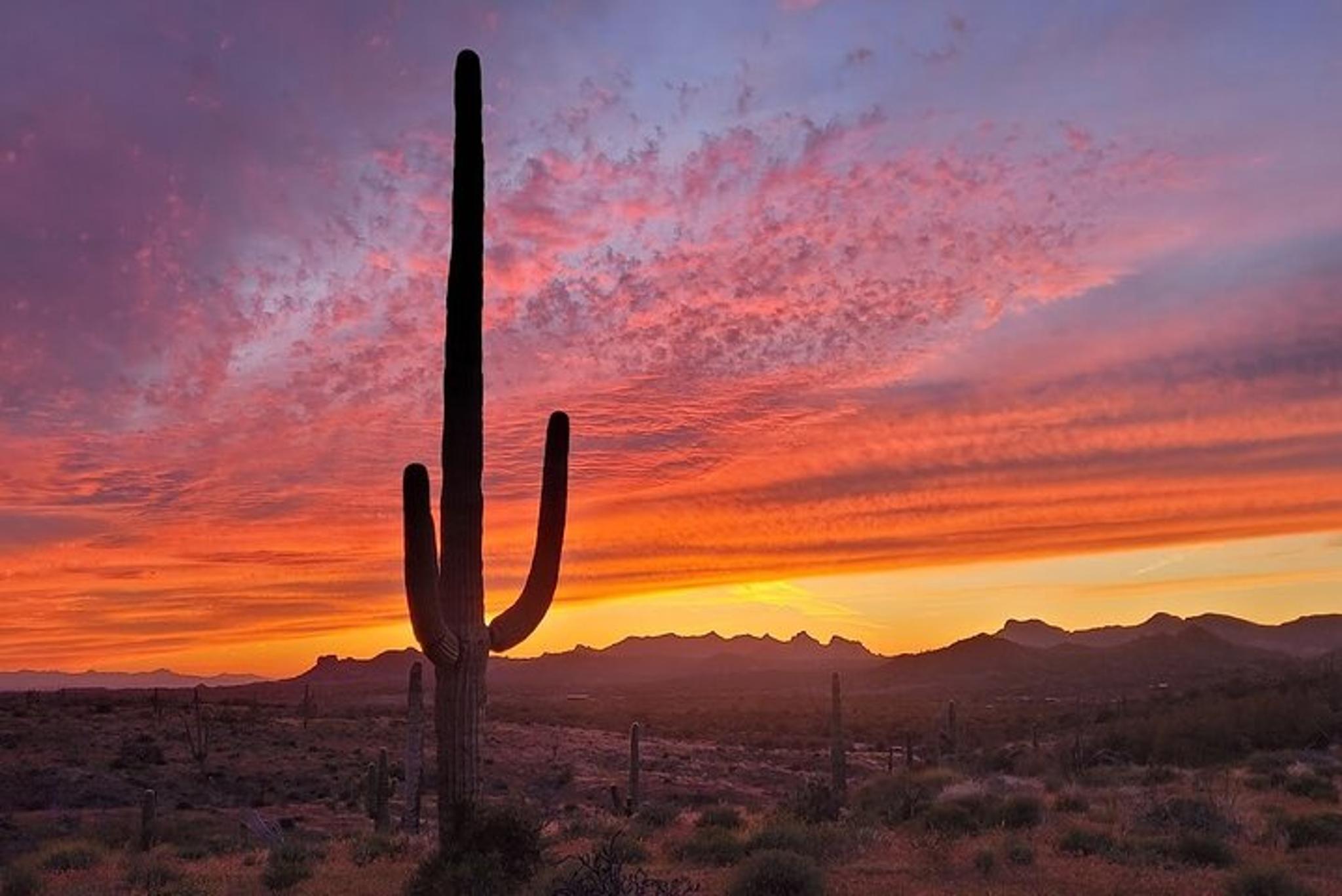 Arizona Desert Night Sky Tour - Image 3