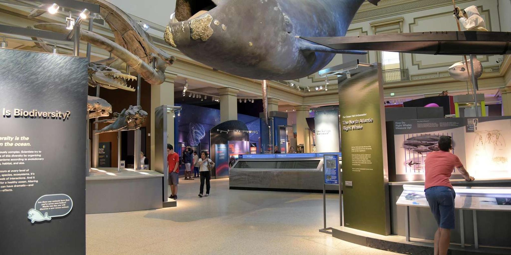 Washington DC History and Natural History Museum Tour 3 hr - Image 2