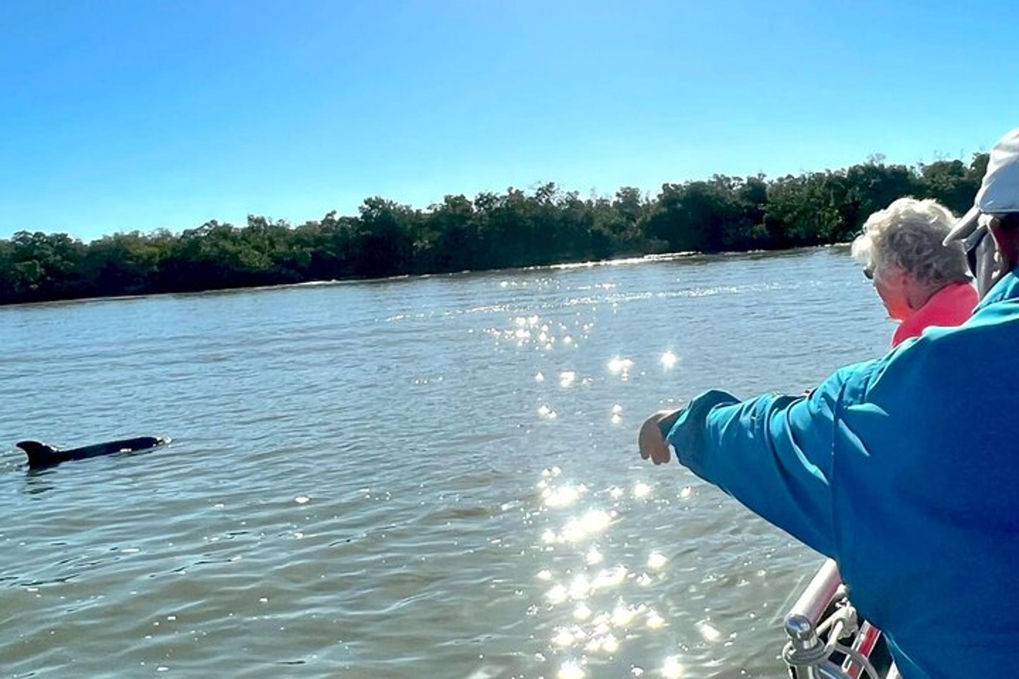 Marco Island Dolphin Tour - Image 4