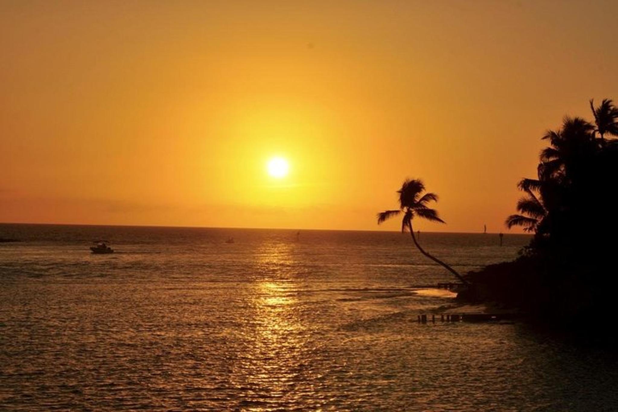 Naples Sunset Cruise in the Gulf of Mexico - Image 1