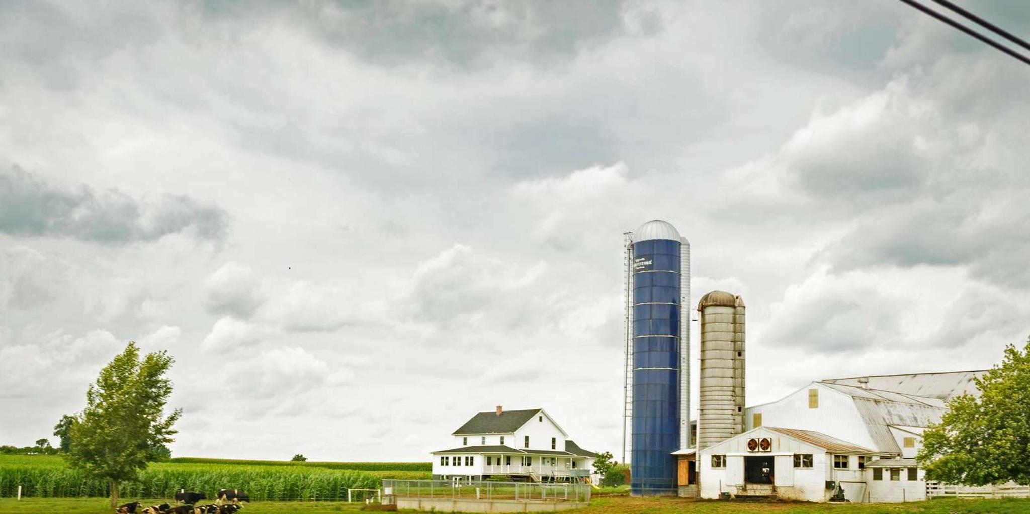Philadelphia Amish Country Private Driving Tour - Image 5