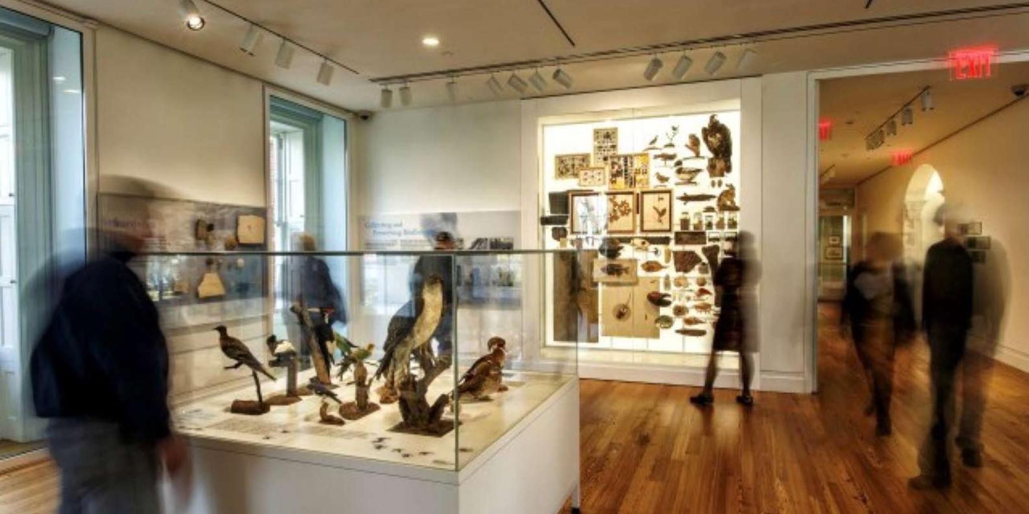 New York City Staten Island Museum Tour 1 hr - Image 4