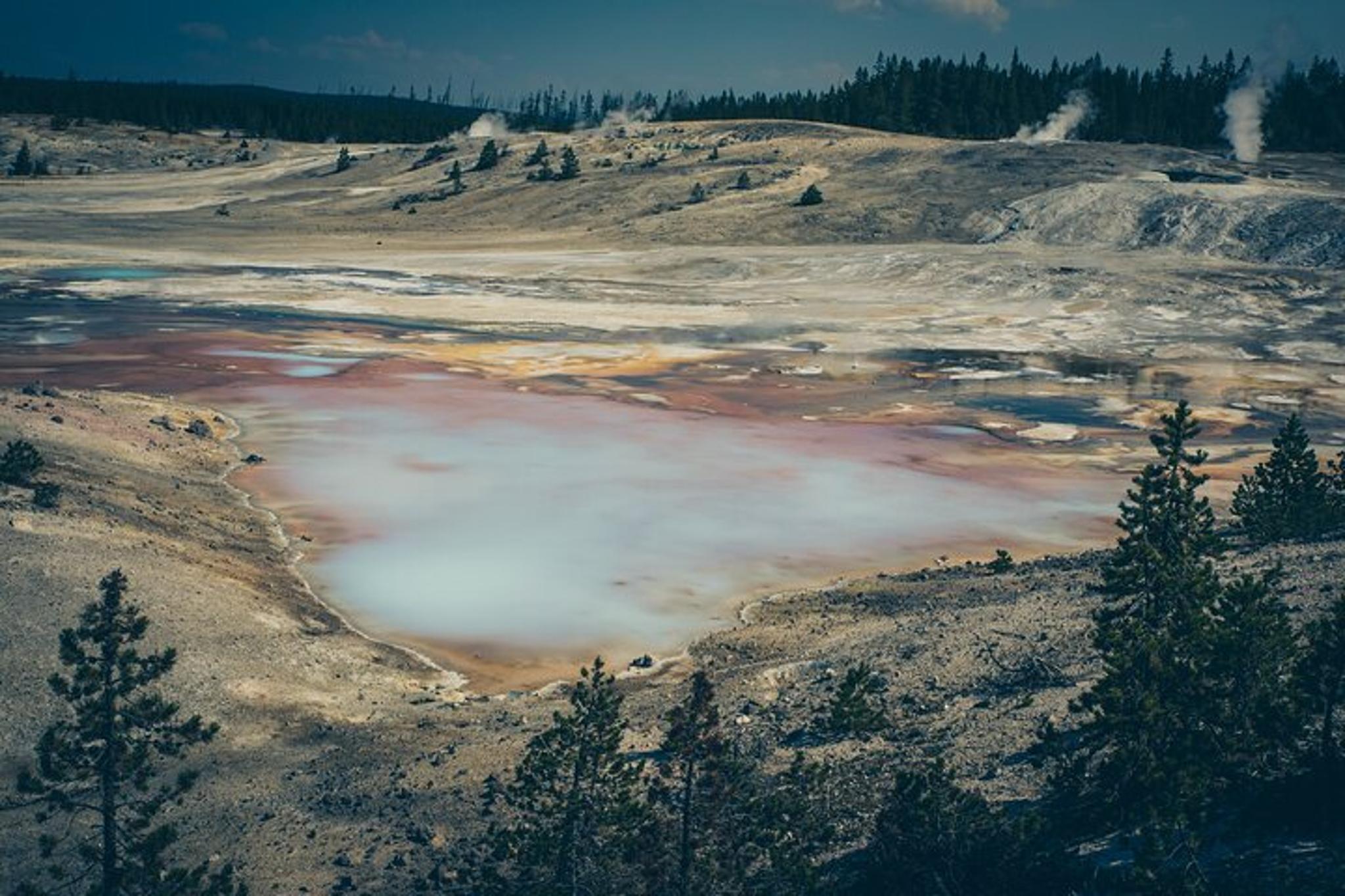 Yellowstone Wildlife and Scenic Sites Private Tour - Image 6