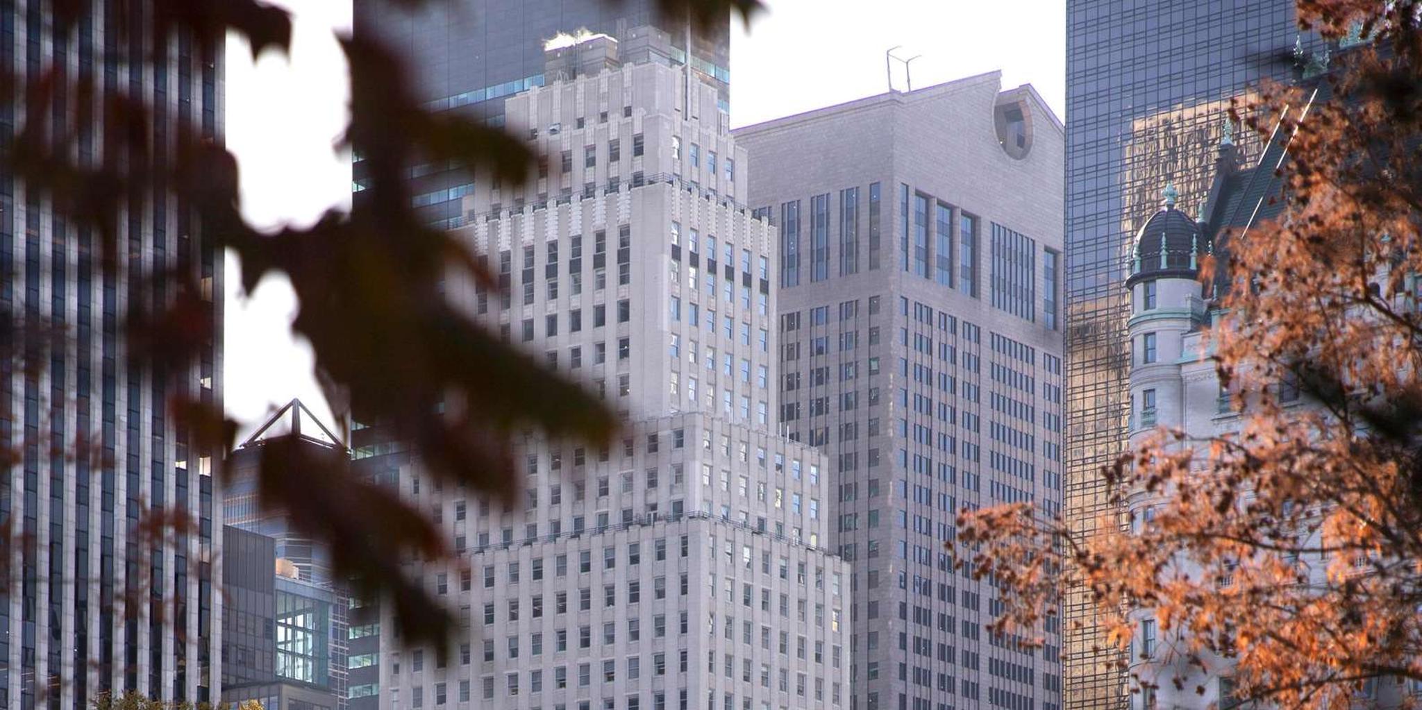 New York Central Park Walking Tour - Image 5