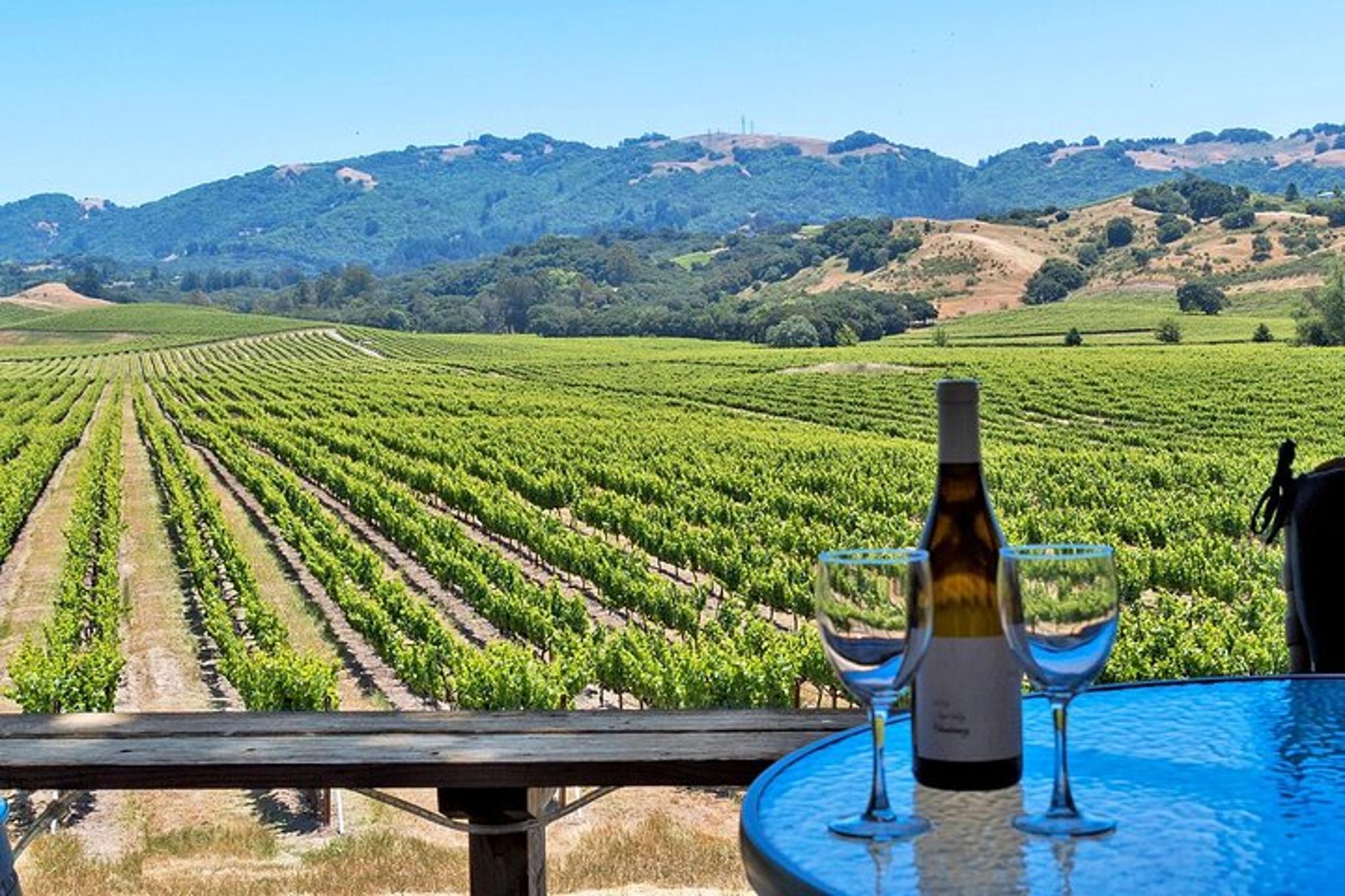 Sonoma Valley Wine Tour