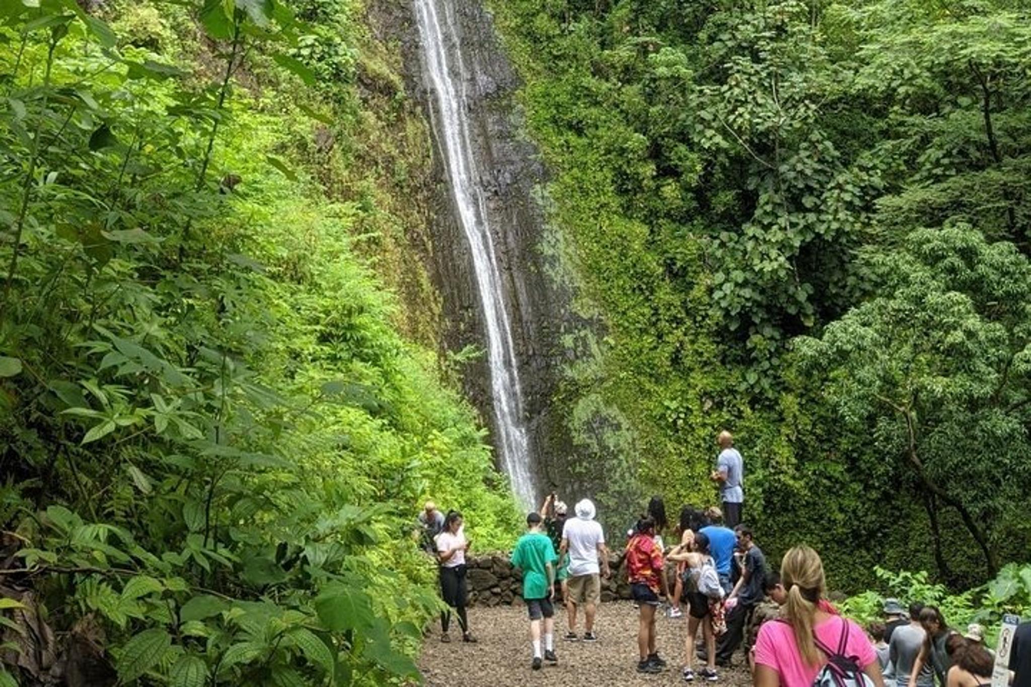 Honolulu Electric Bike Ride and Manoa Falls Hike