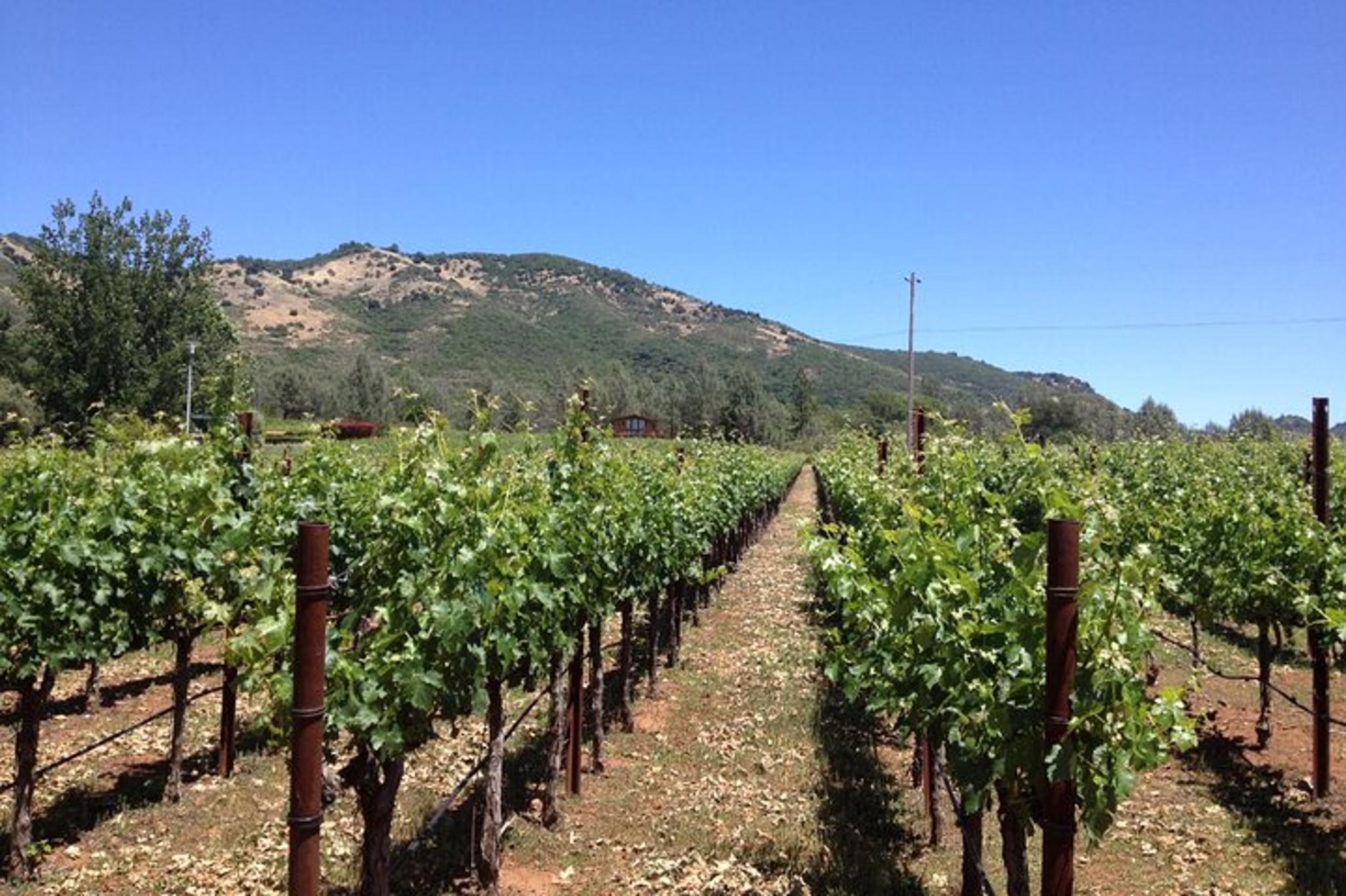 Fredericksburg Winery Transfer - Image 5