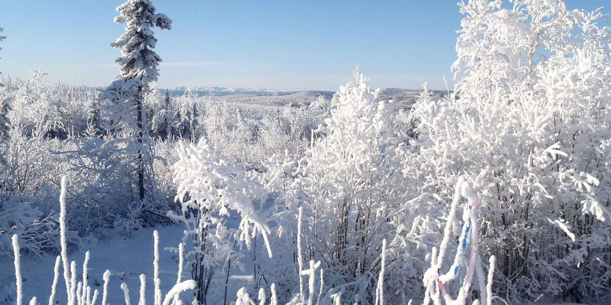 Fairbanks Northern Lights and Arctic Circle Tour - Image 2