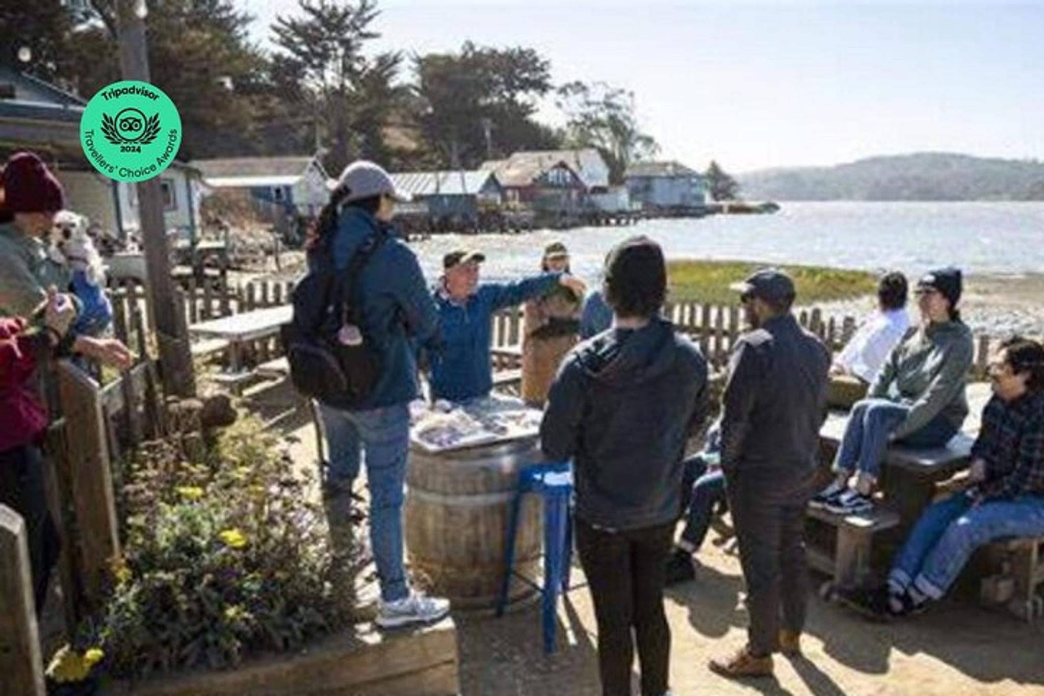 California Vineyards, Waves and Wine Tour