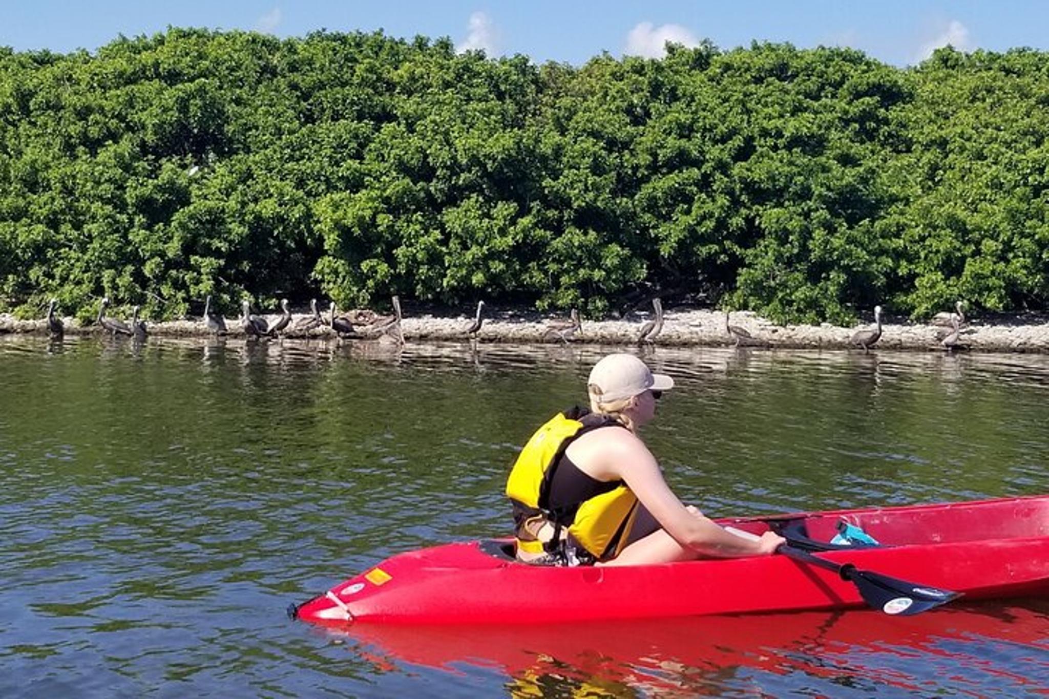 Indian River Clear Bottom Kayak and Paddleboarding Tour - Image 6