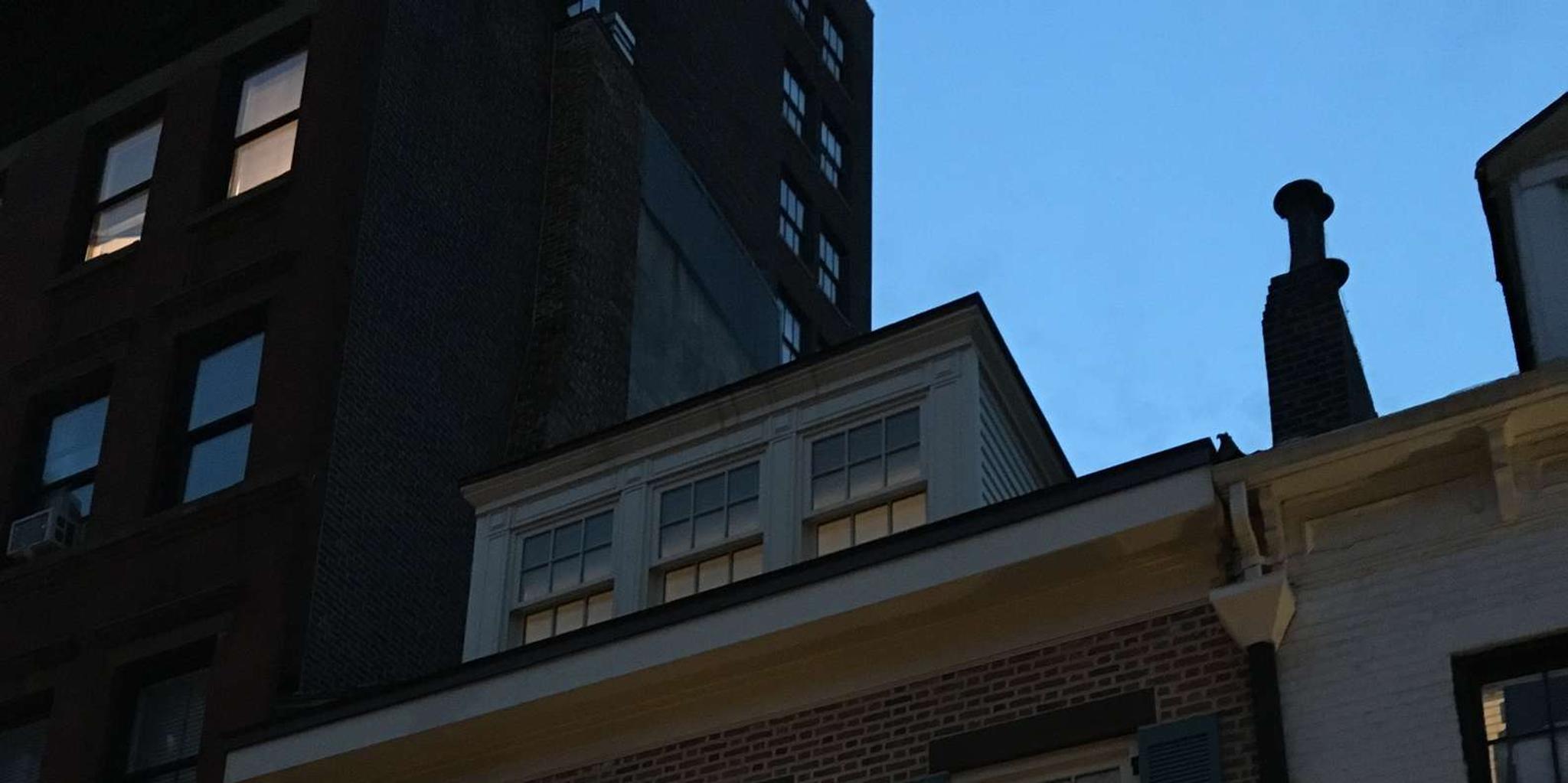 New York City Ghost Tour of Greenwich Village - Image 5