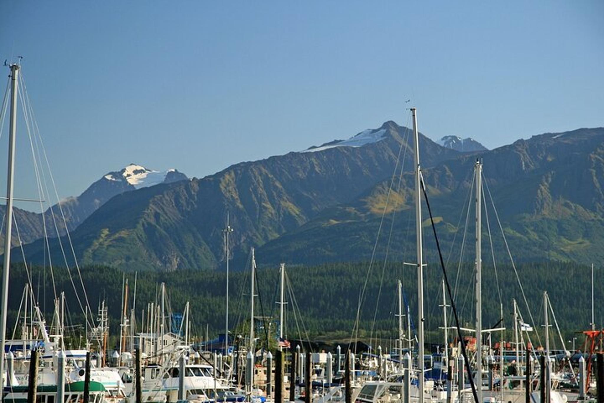 Seward Alaska Full Day Tour - Image 3