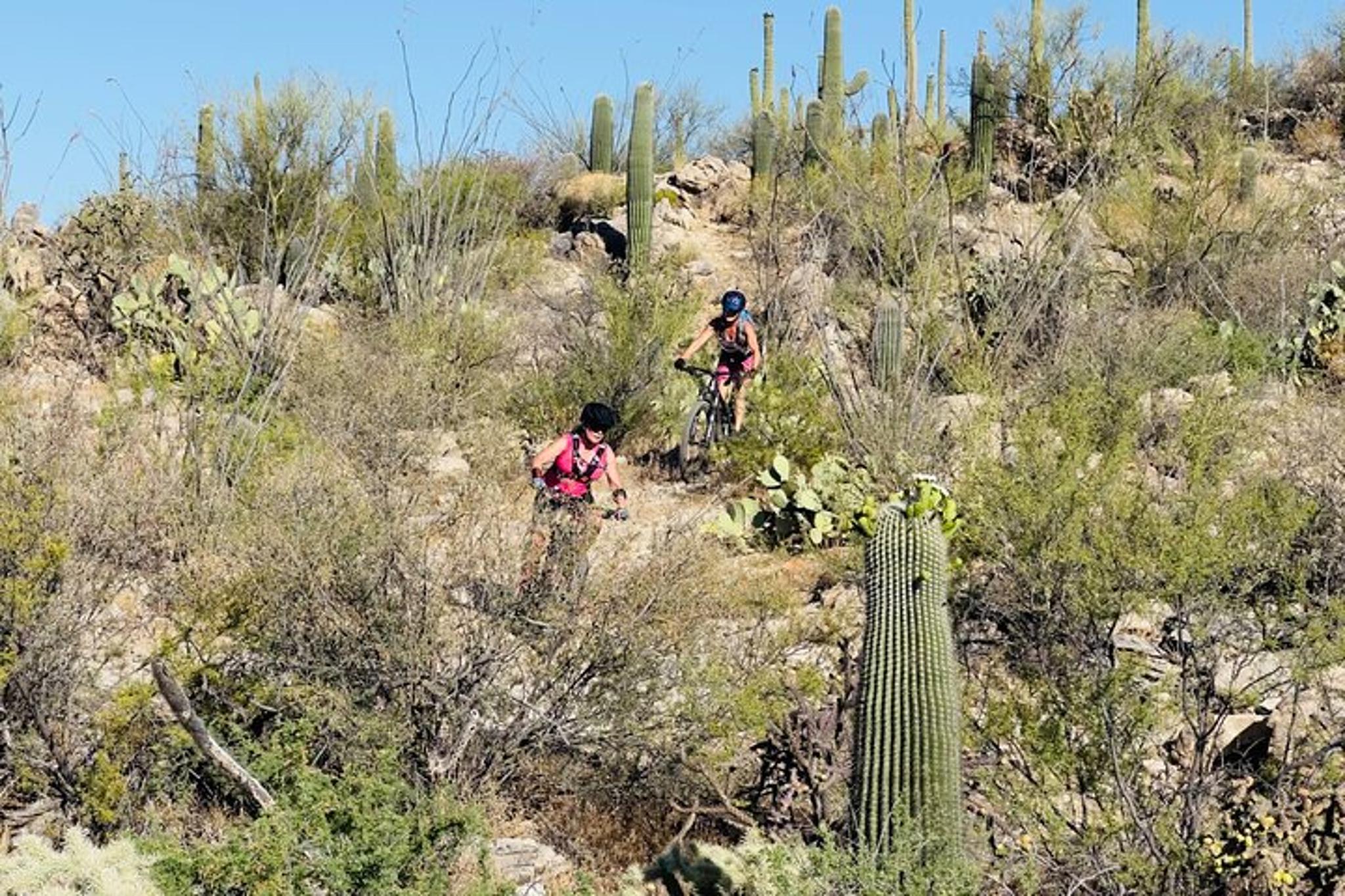 Tucson Mountain Bike Adventure - Image 6