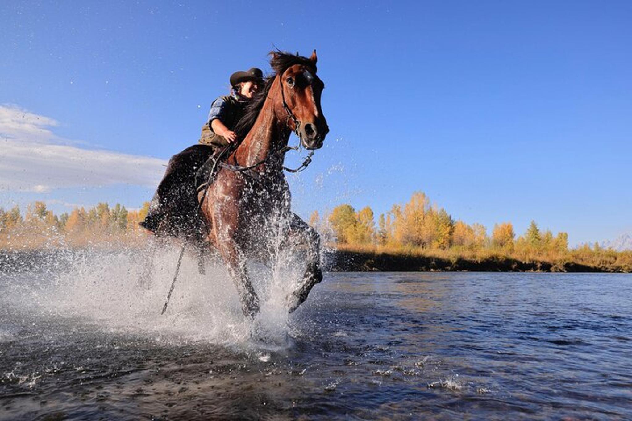 Heart Six Ranch Dinner Cookout Ride - Image 2