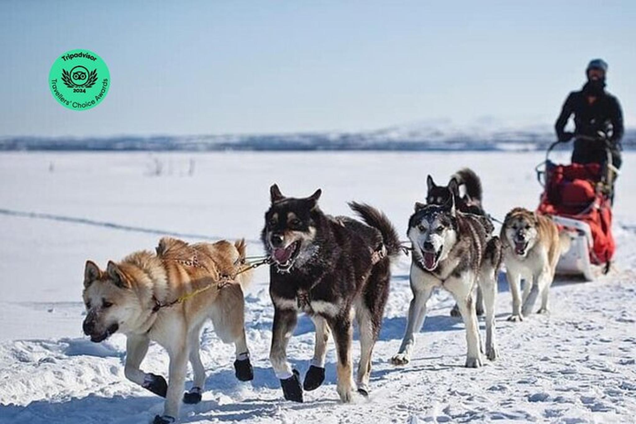 Yellowstone National Park Winter Tour 6 Days