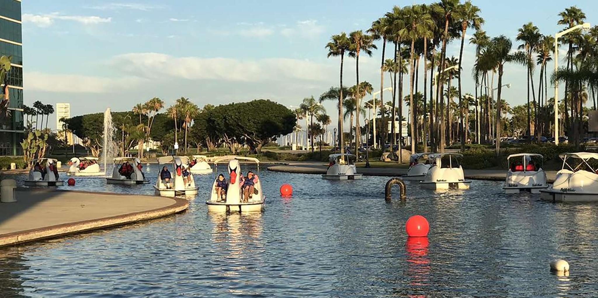 Long Beach Swan Boat Rental at Rainbow Lagoon - Image 3
