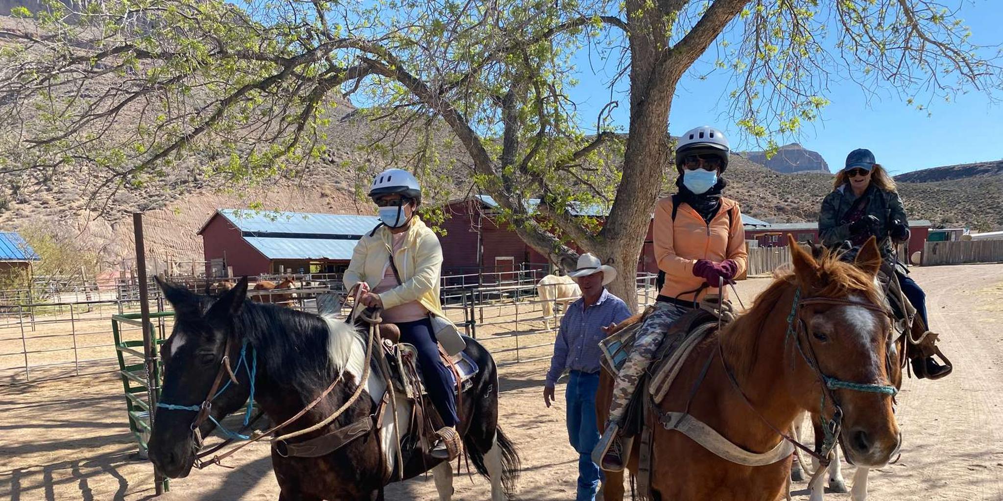 Las Vegas Horseback Ride in Joshua Tree Forest - Image 5