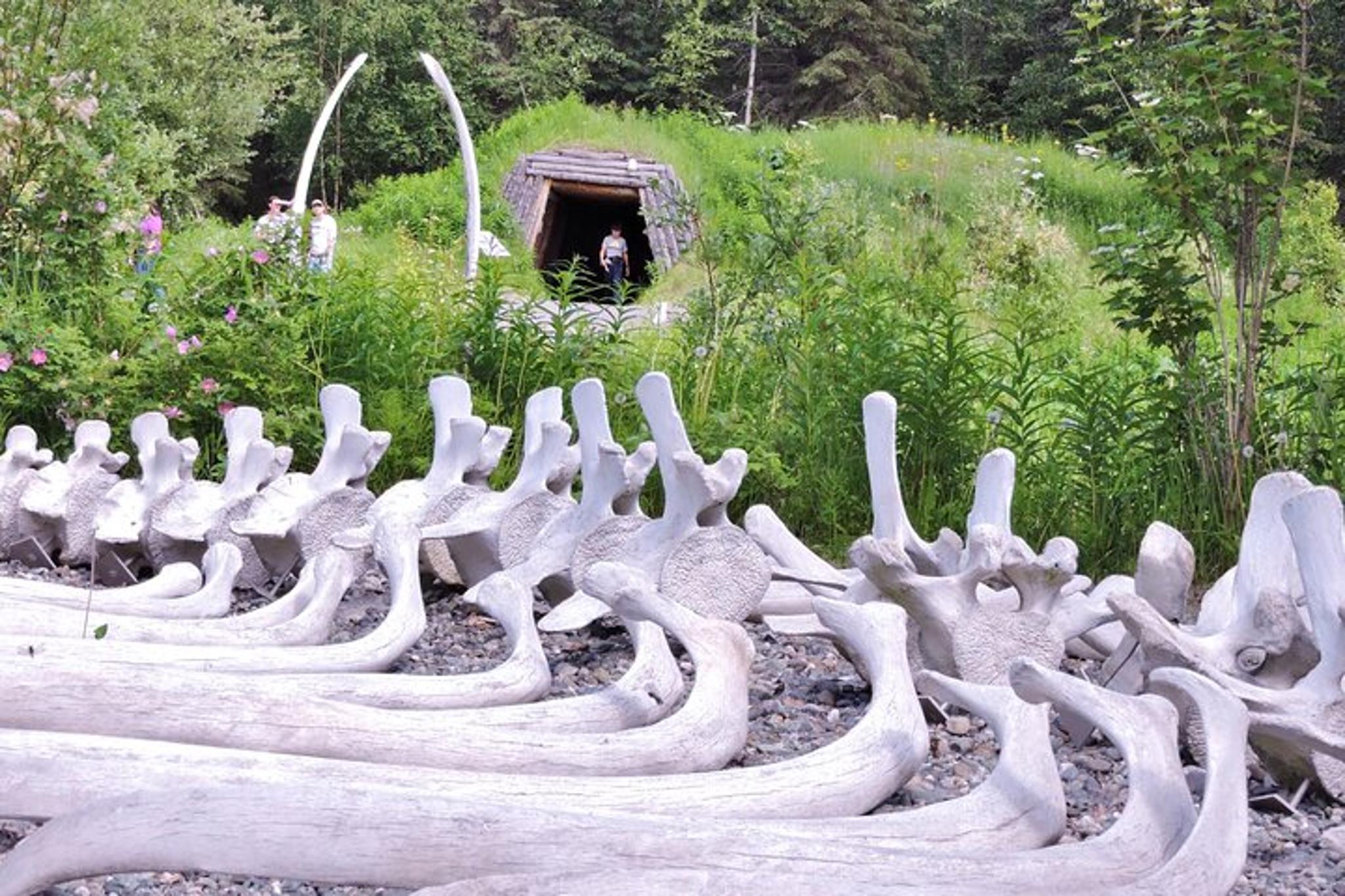 Whittier Anchorage Cultural Exploration 5 hr - Image 4