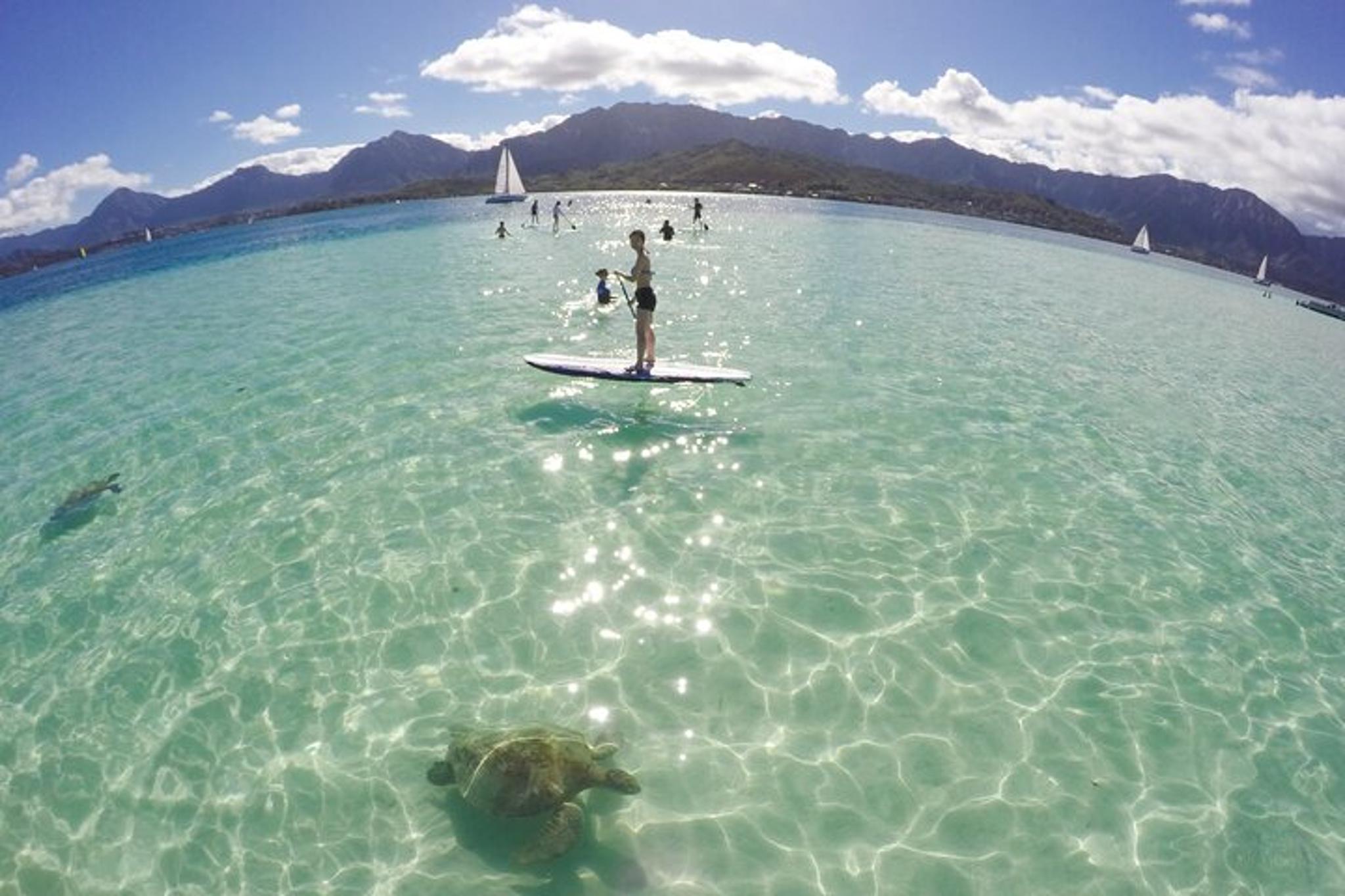 Kaneohe Sandbar Snorkeling Tour - Image 5
