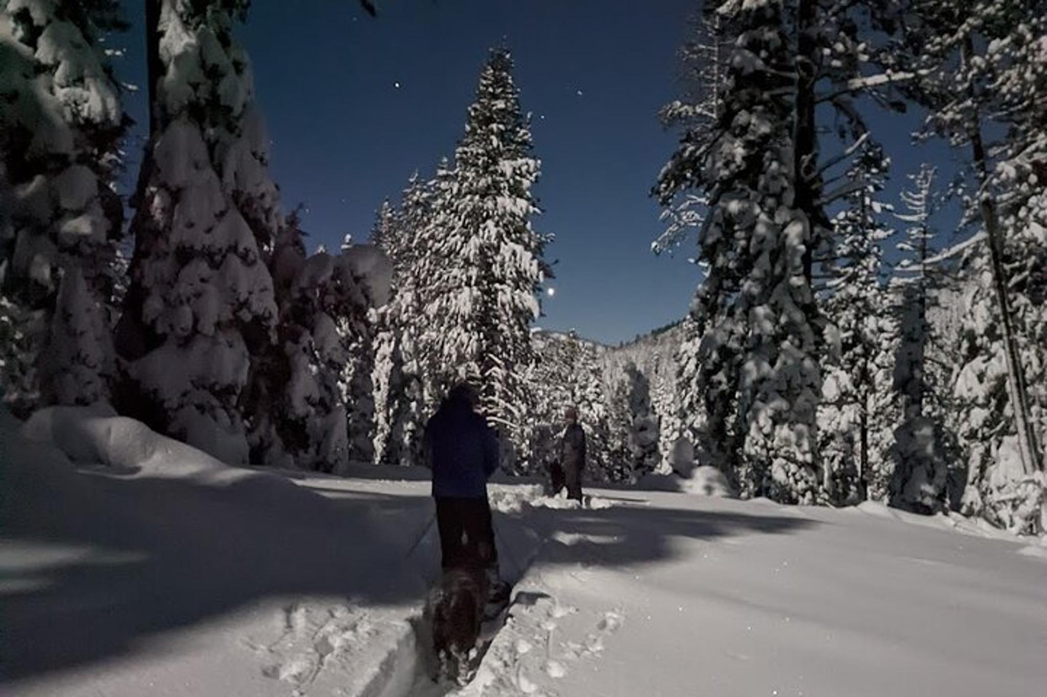 Tahoe City Moonlight Snowshoe Tour - Image 3