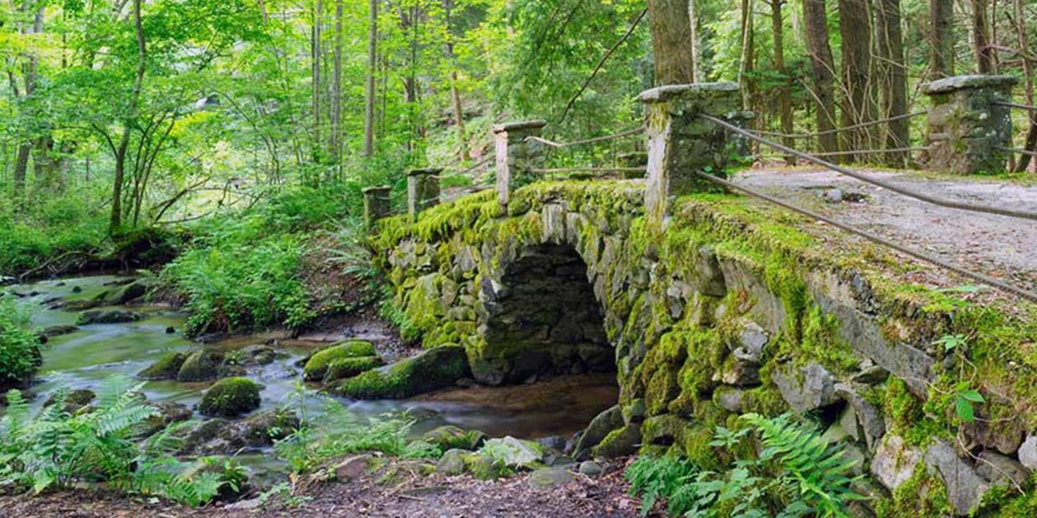 Great Smoky Mountains Elkmont Historic District Tour - Image 2