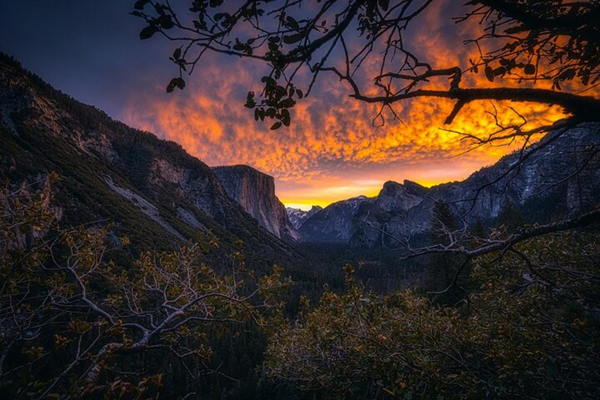 Los Angeles Yosemite & Kings Canyon 2-Day Tour - Image 4