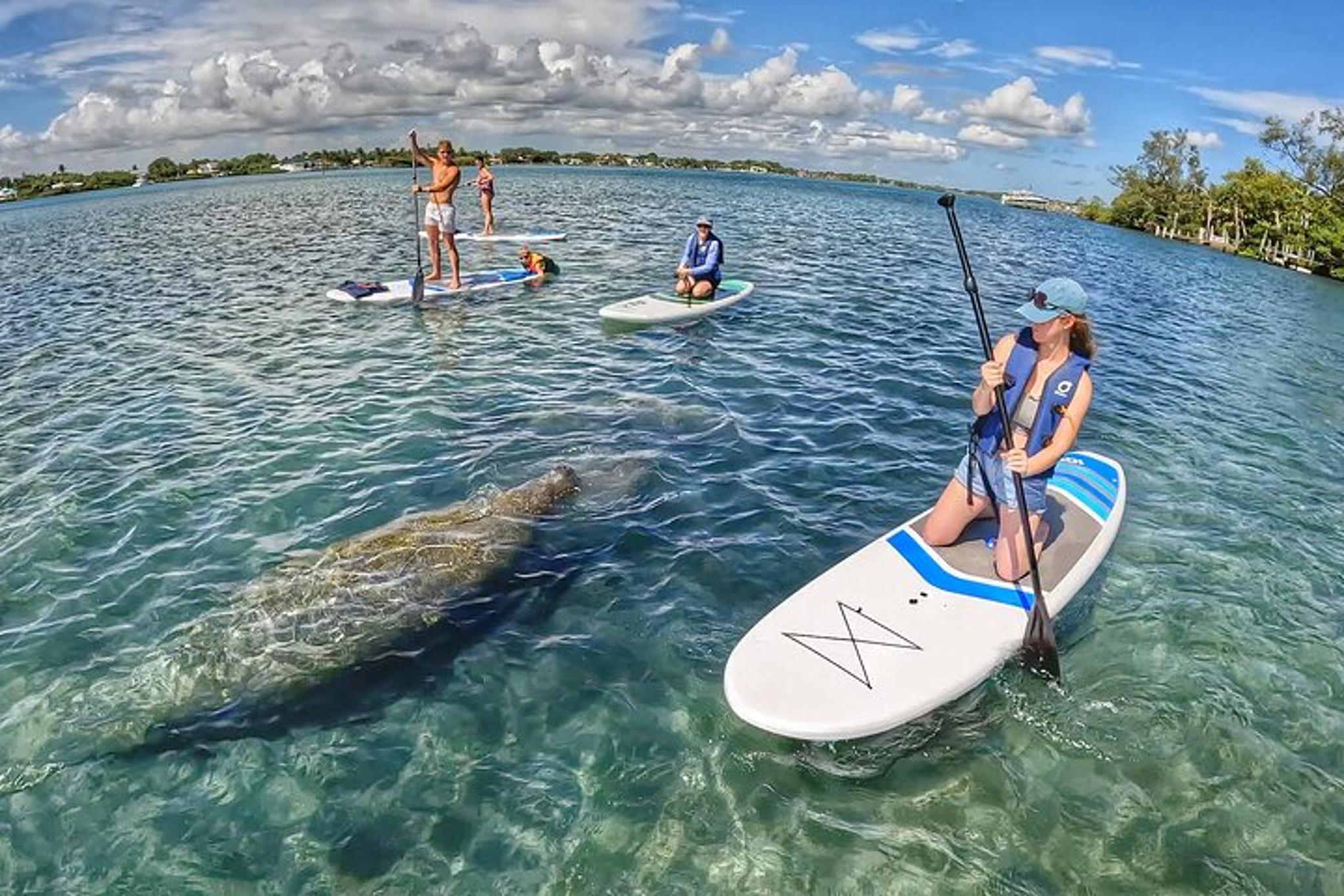 Jupiter Paddle Boarding Eco Adventure