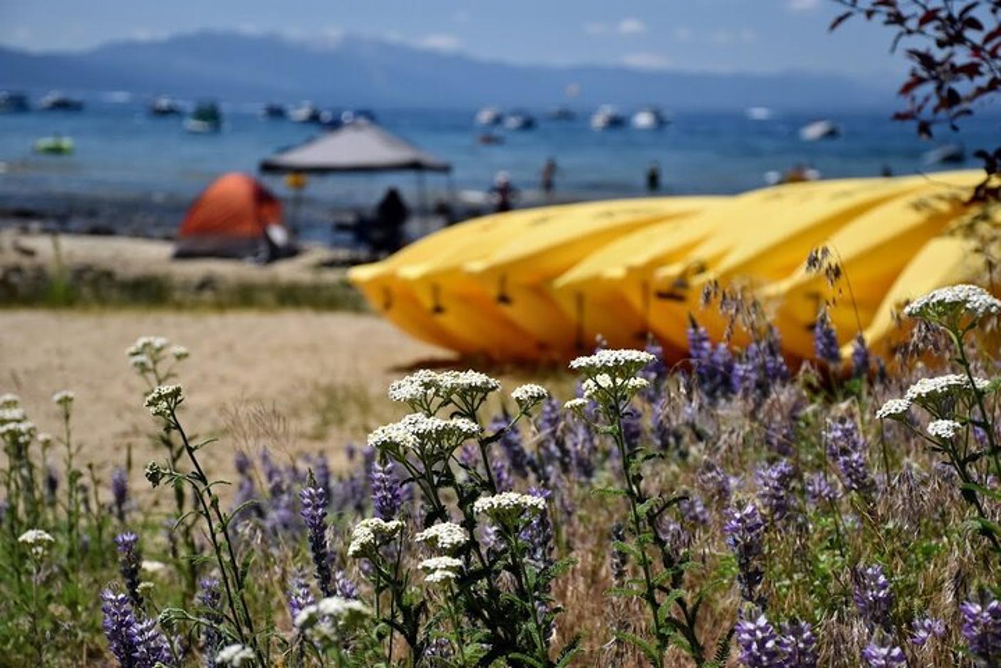 Lake Tahoe Kayak Rental North Shore - Image 6