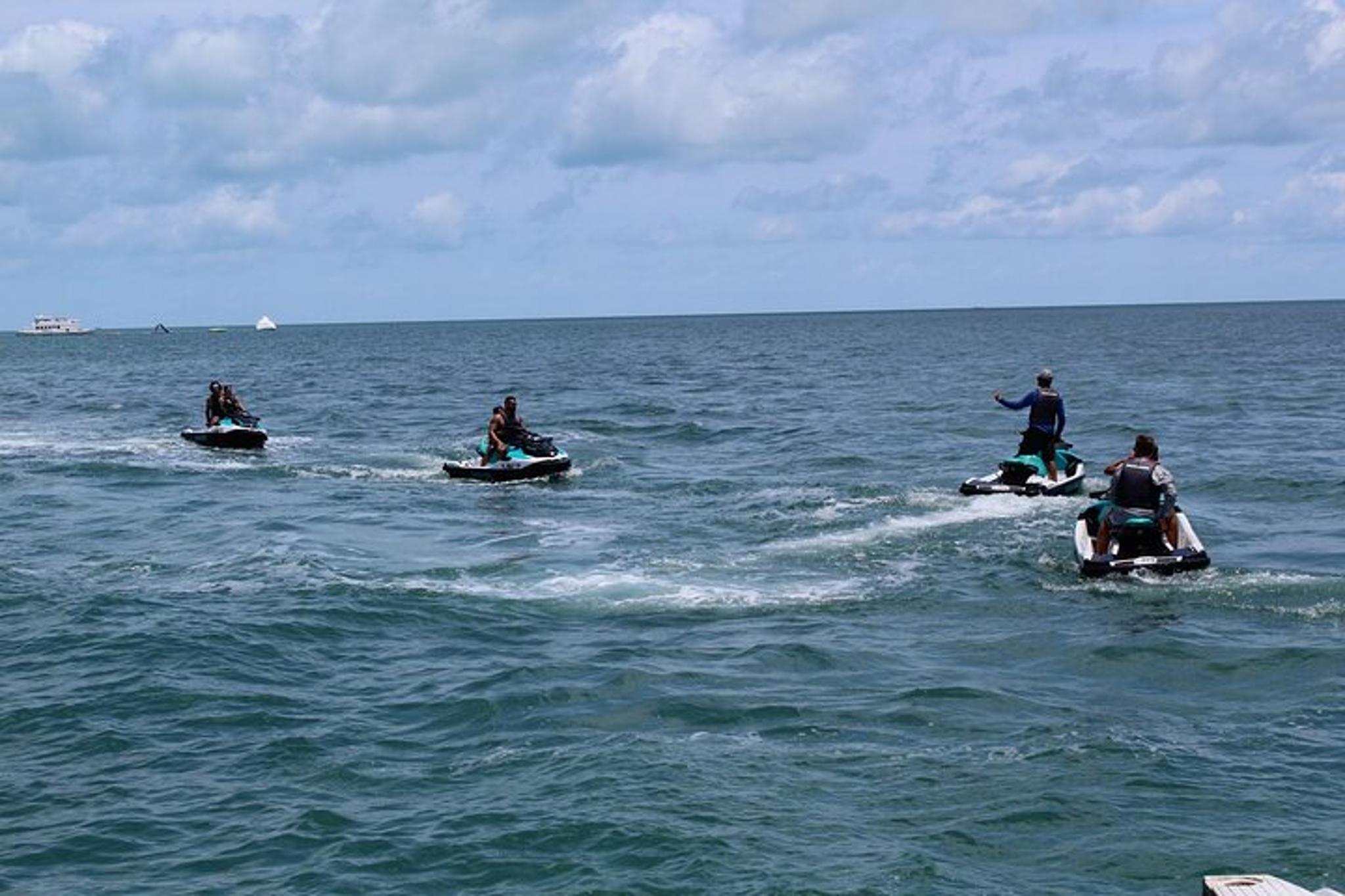 Miami Dolphin Discovery and Snorkeling Tour - Image 6
