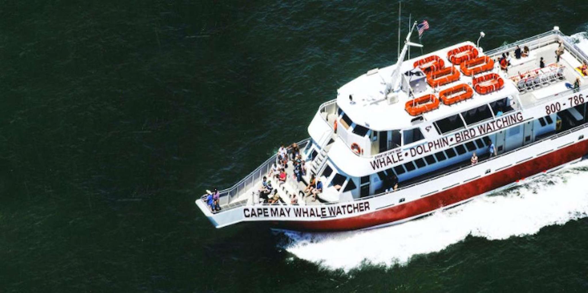 Cape May Dinner Cruise with Dolphin Watching - Image 4